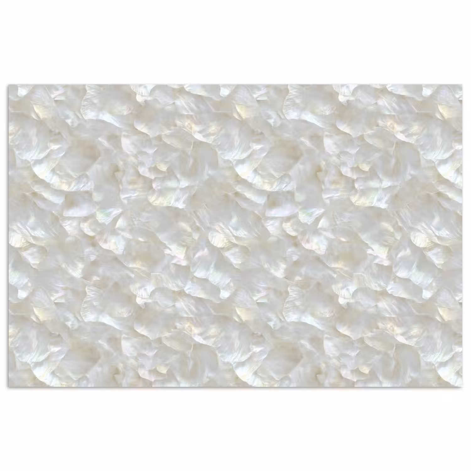 Parelmoerglans - Wit - Schelp poster papier klein 62 -3d