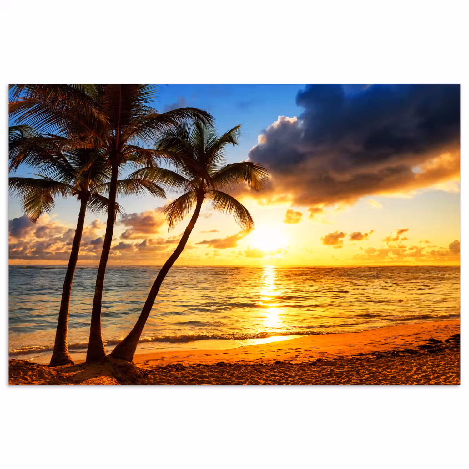 Strand - Horizon - Zonsondergang - Palmboom - Zee poster papier klein -3d