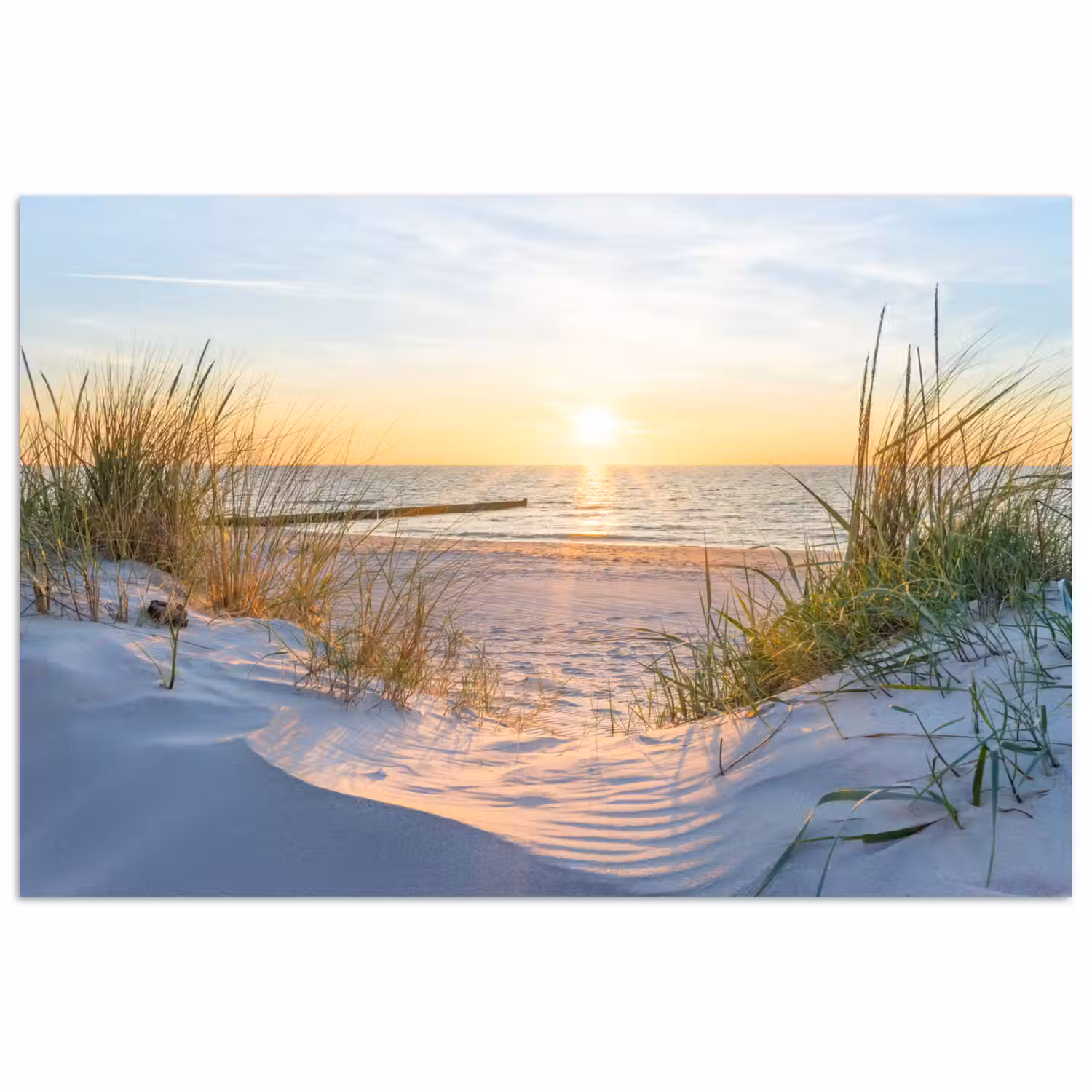 Strand - Zon - Duin - Gras - Zand - Horizon poster papier klein -3d