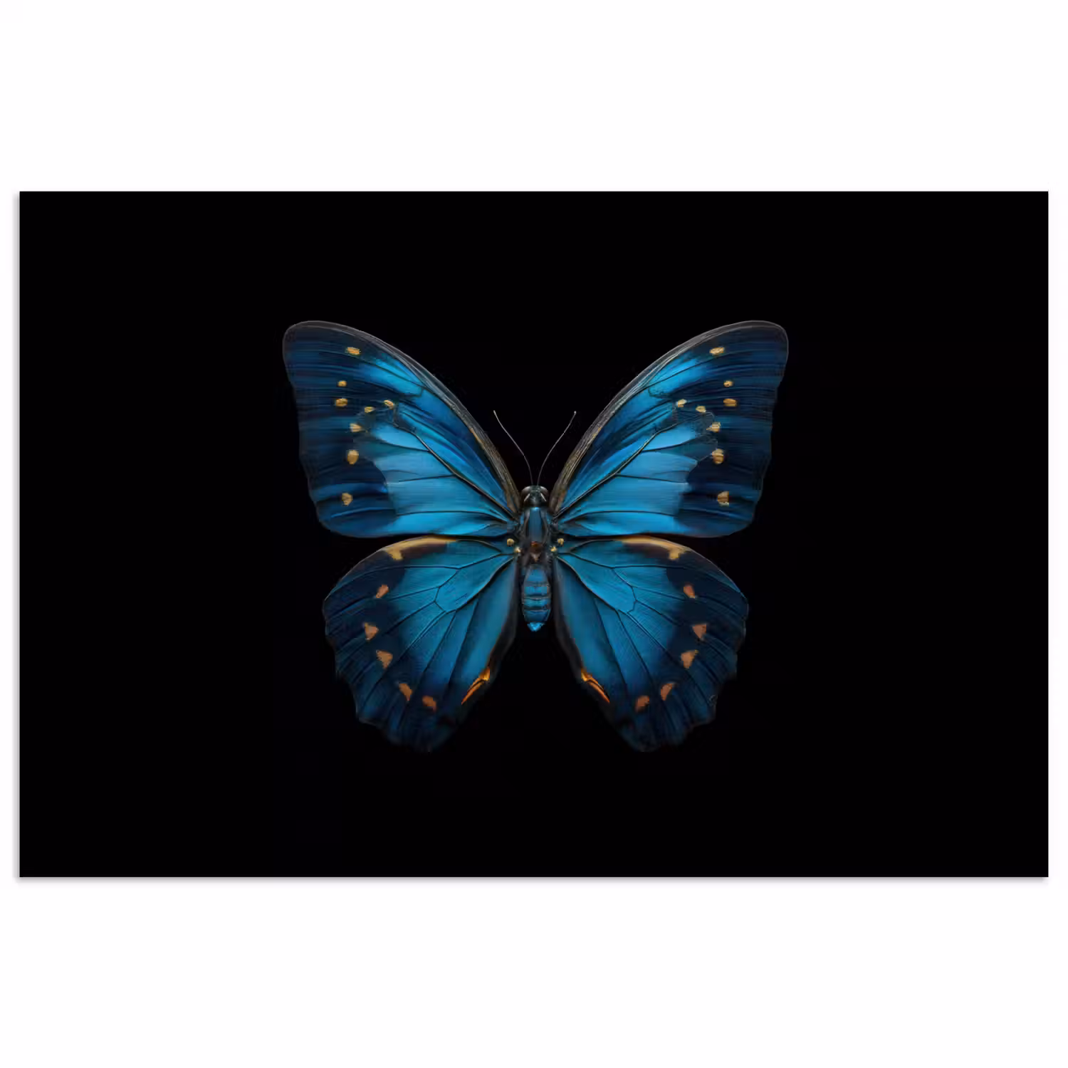 Vlinder - Blauw - Contrast poster papier klein -3d