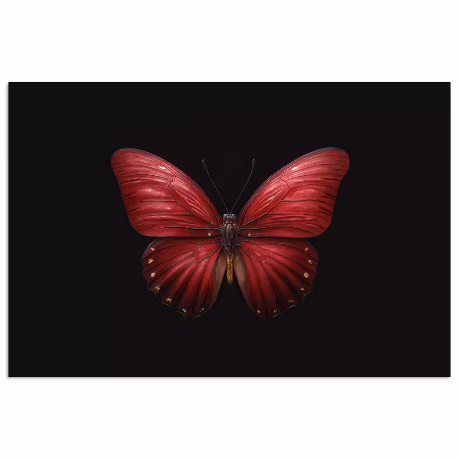 Vlinder - Rood - Minimalistisch poster papier klein -3d