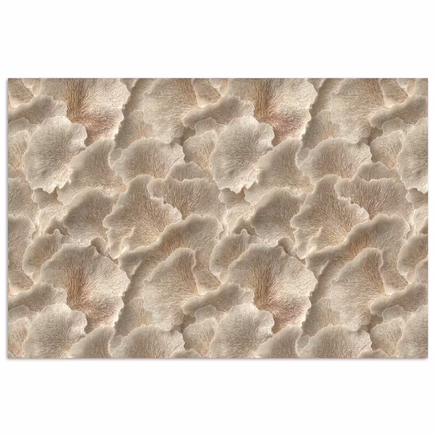Waaierstructuren - Beige - Vezeltextuur poster papier klein 62 -3d