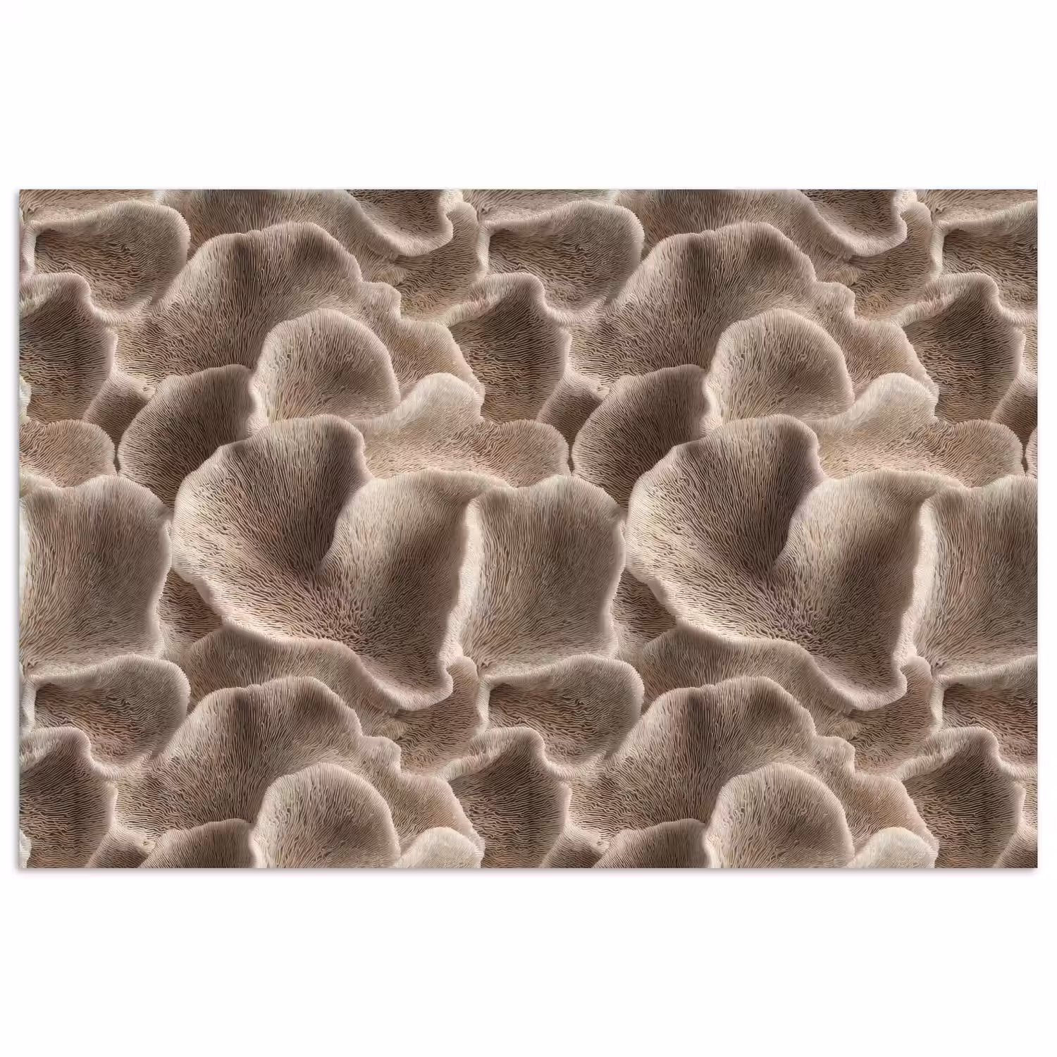 Waaiervorm - Beige - Vezel textuur poster papier klein 62 -3d