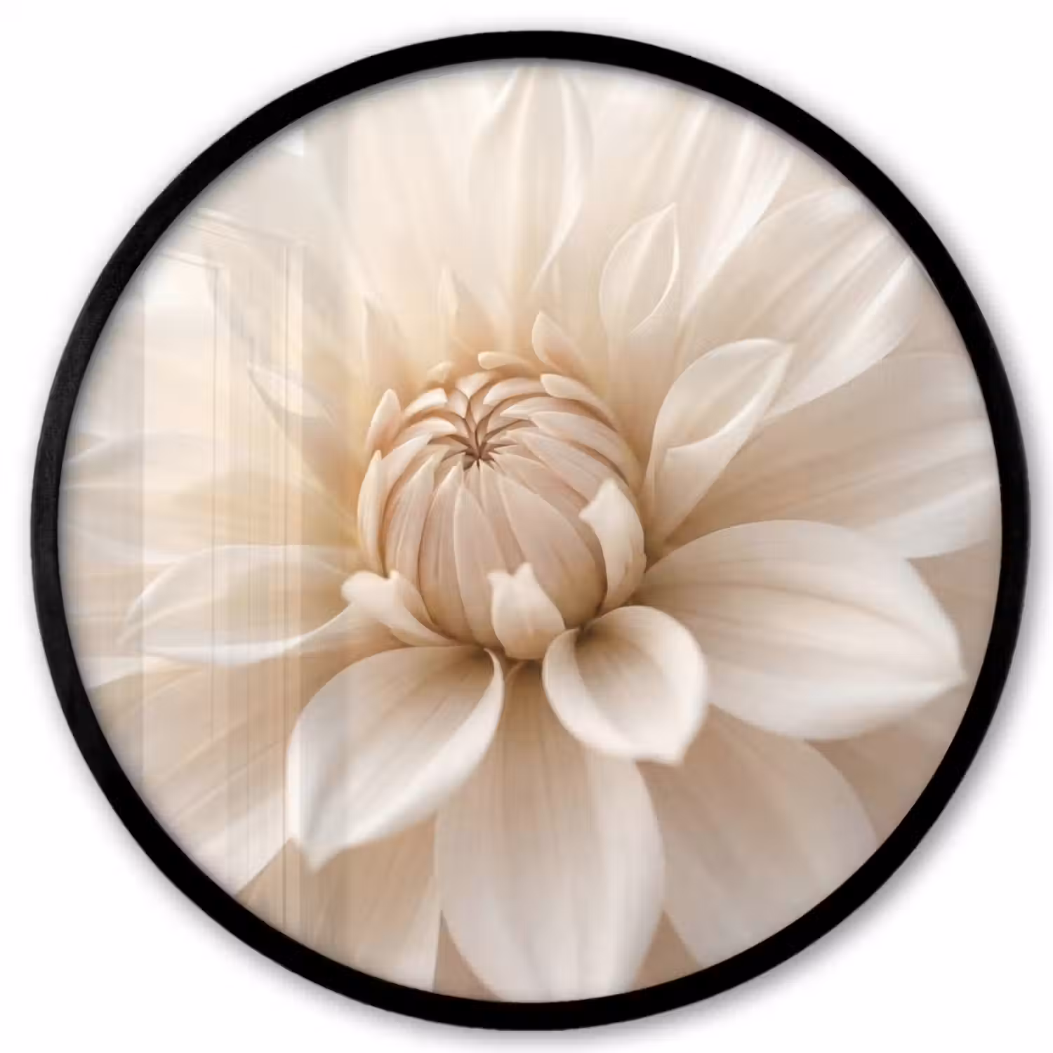 Bloem - Dahlia - Wit Fotolijst rond zonder passe partout klein -3d