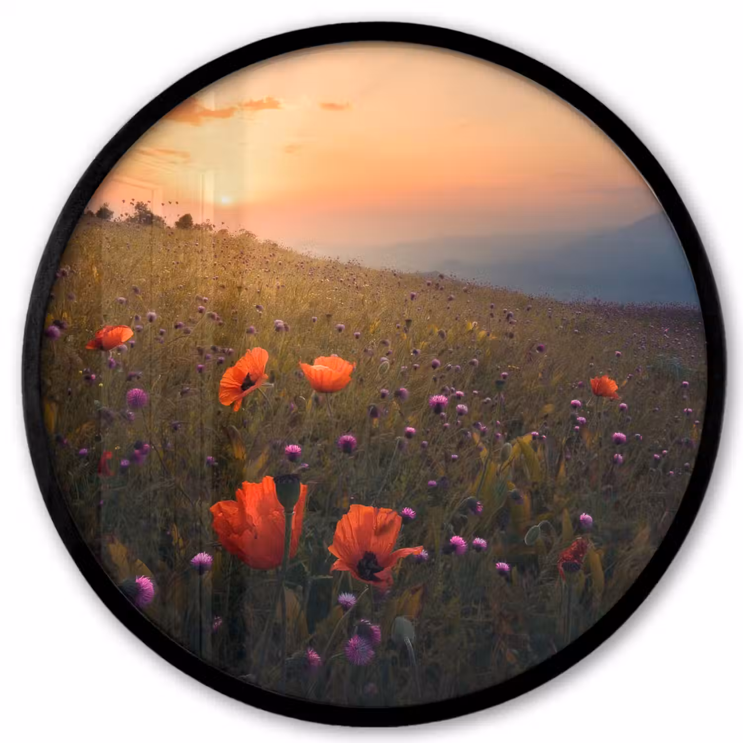 Bloemenveld - Gras - Bloemen - Planten - Zonsondergang - Oranje Fotolijst rond zonder passe partout klein -3d