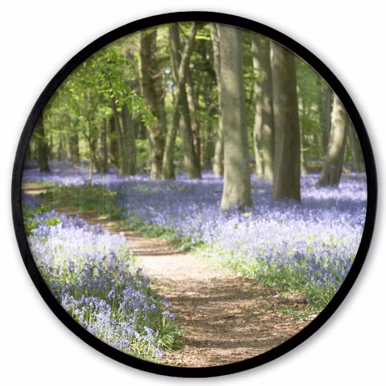 Bos - Pad - Bloemen - Paars - Groen - Natuur Fotolijst rond zonder passe partout klein -3d
