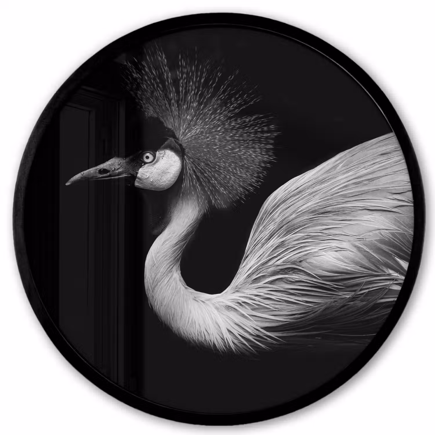 Kraanvogel - Zwart - Wit - Vogel - Dieren Fotolijst rond zonder passe partout klein -3d