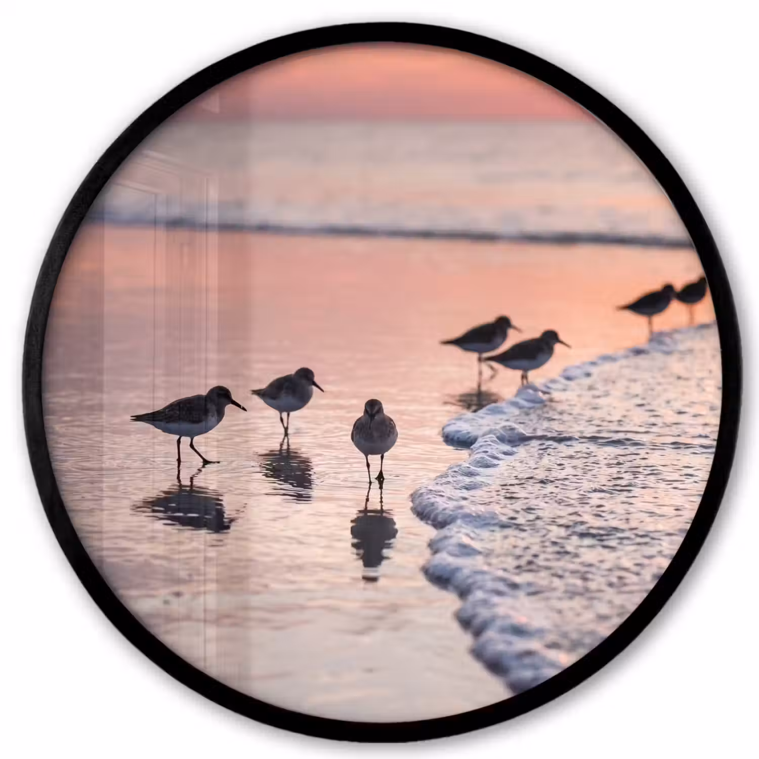 Meeuwen - Strand - Zee - Roze Fotolijst rond zonder passe partout klein -3d