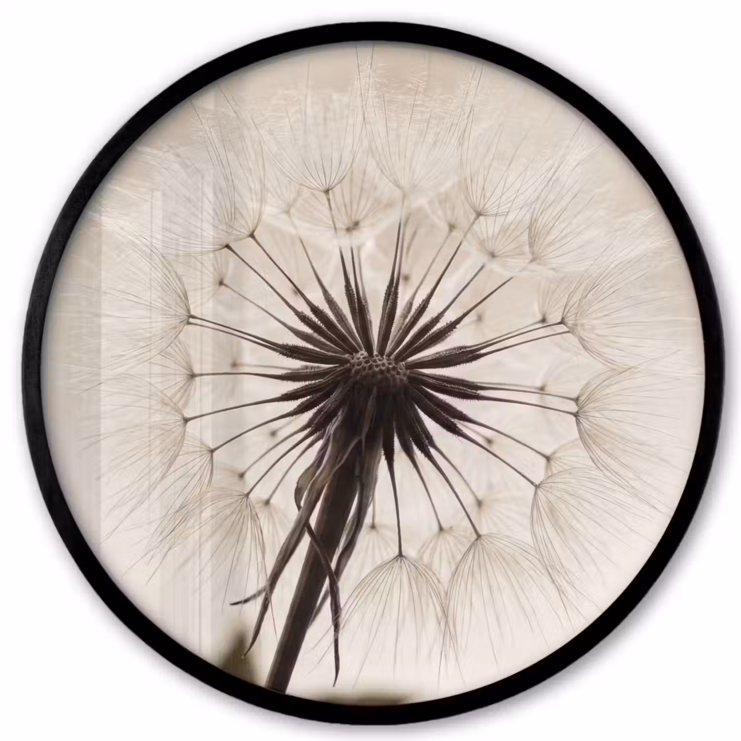 Paardenbloem - Minimalistisch - Wit Fotolijst rond zonder passe partout klein -3d