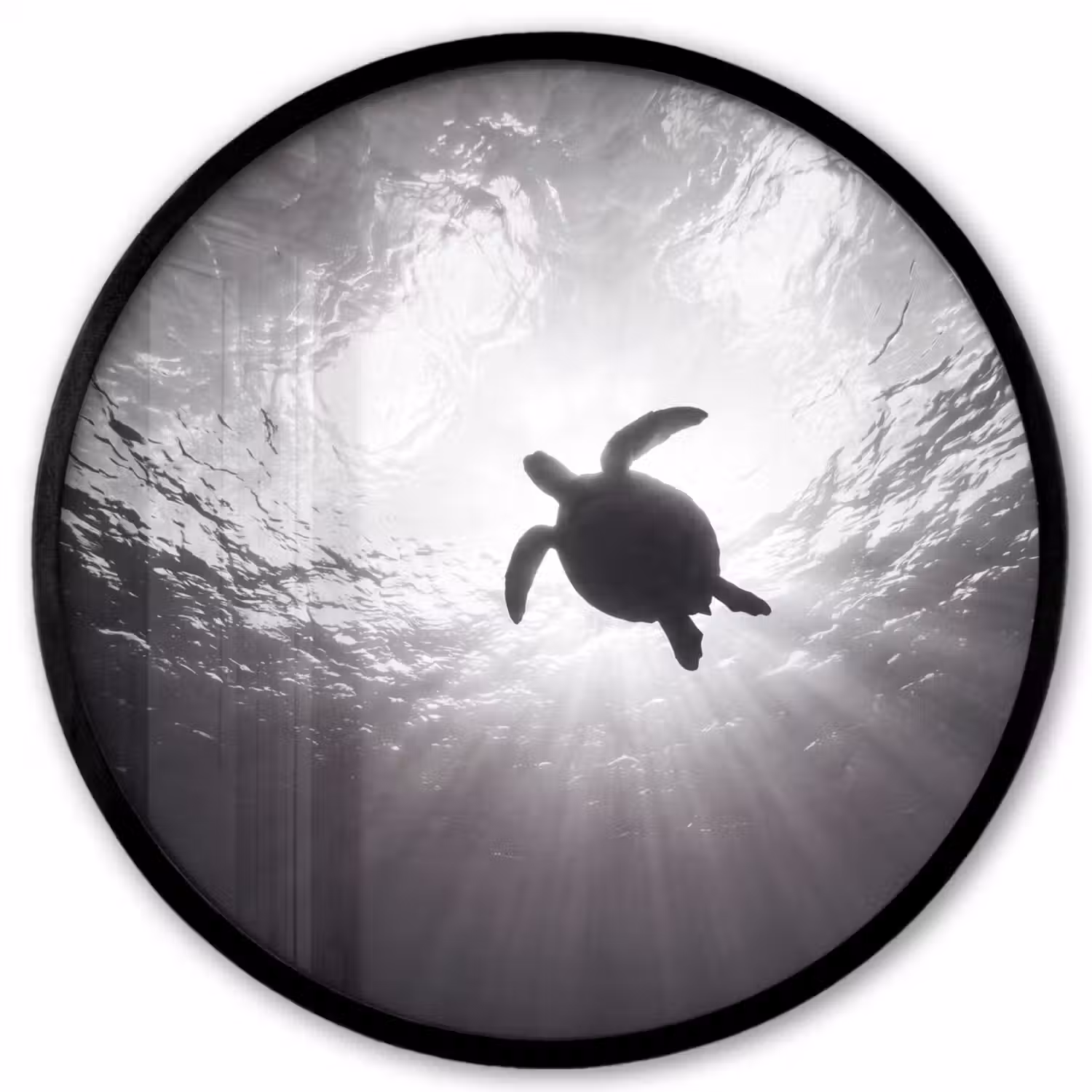 Schildpad - Onderwater - Lichtstralen - Oceaan - Zwart-wit Fotolijst rond zonder passe partout klein -3d