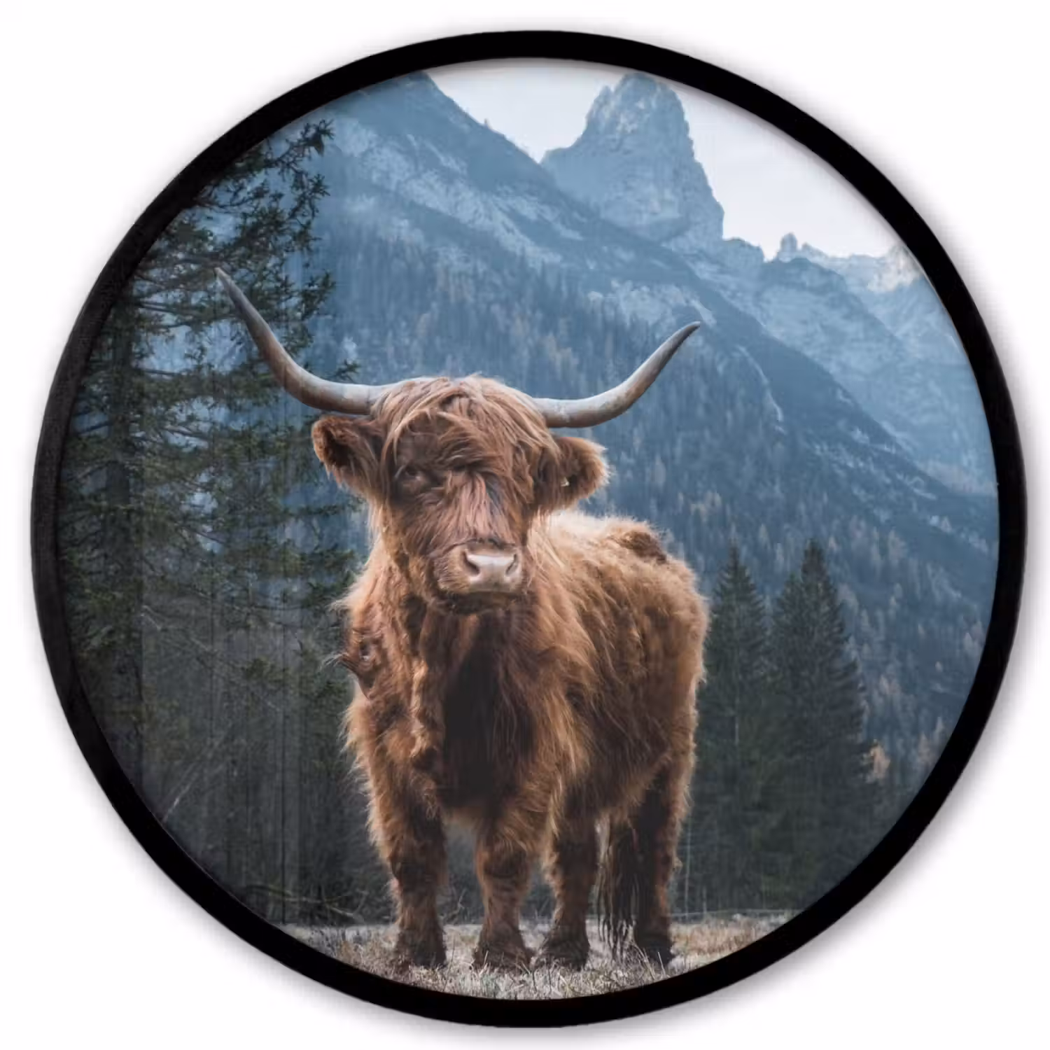 Schotse hooglander - Berg - Landschap - Bomen - Koe - Natuur Fotolijst rond zonder passe partout klein -3d
