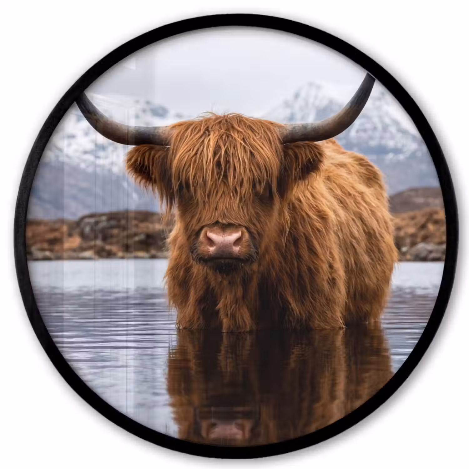 Schotse hooglander - Bruin - Water Fotolijst rond zonder passe partout klein -3d