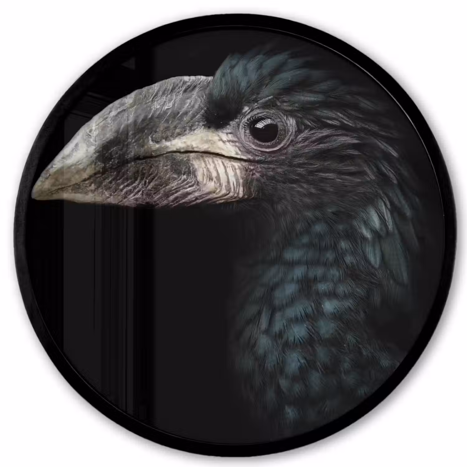 Vogel - Portret - Neushoornvogel - Zwart - Dieren Fotolijst rond zonder passe partout klein -3d
