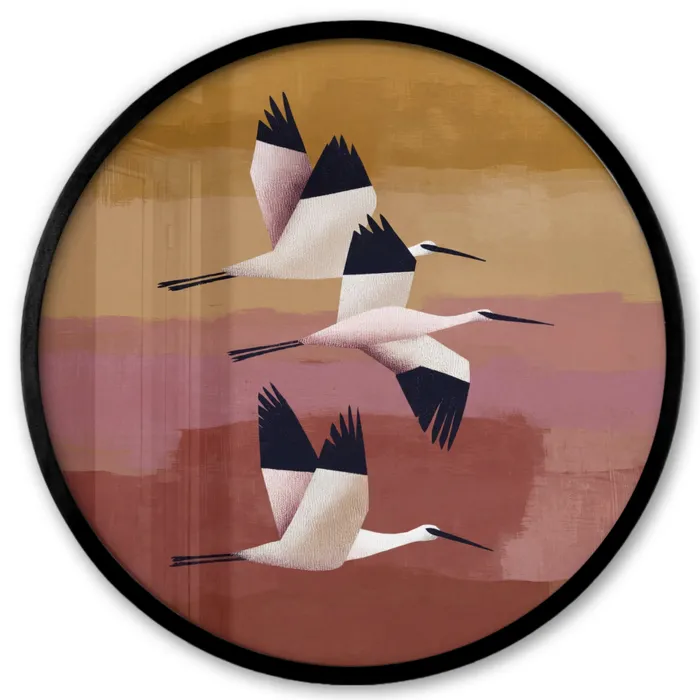 Vogels - Snavel - Abstract Fotolijst rond zonder passe partout klein -3d