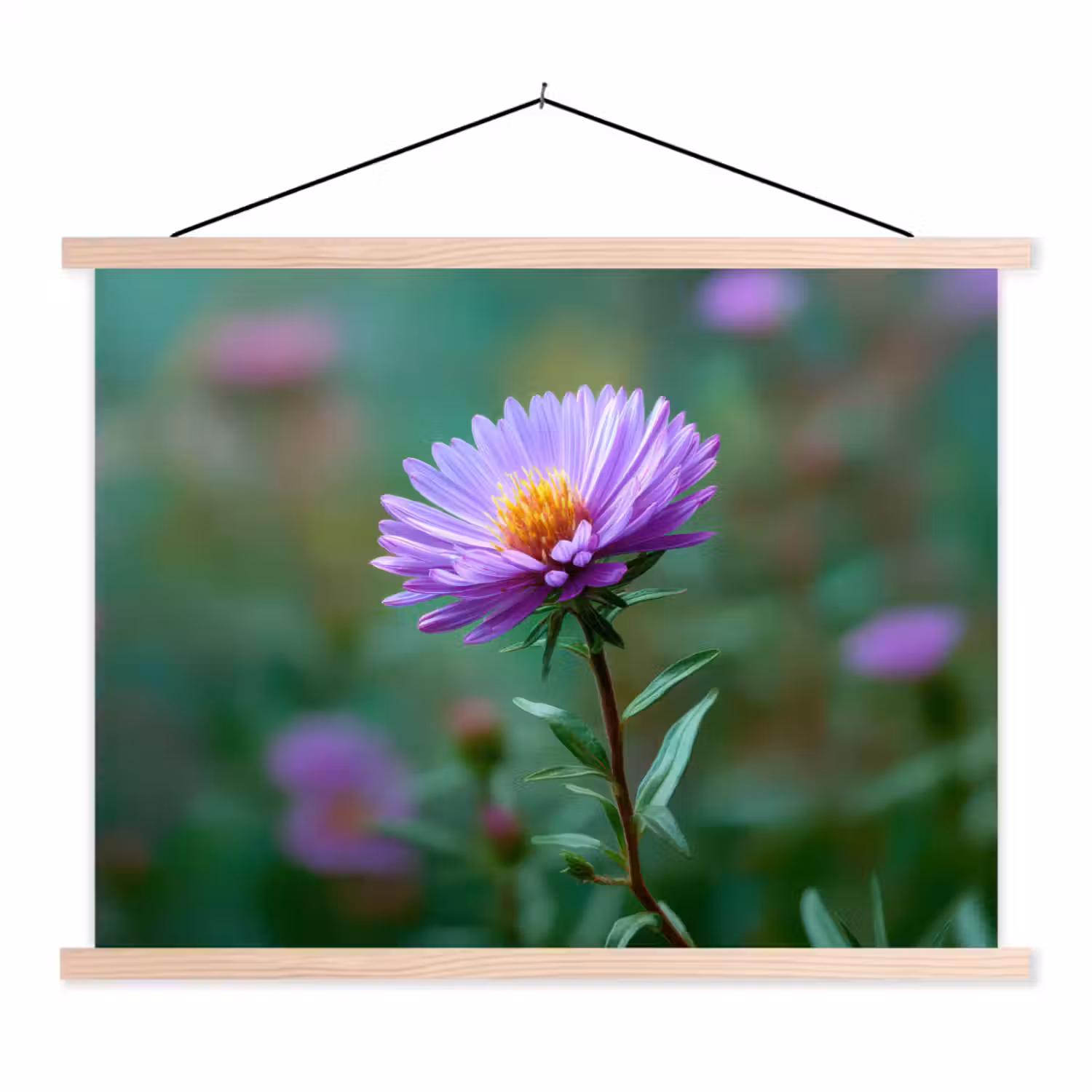 Aster - Paars - Bloem - Blaadjes textielposter latten blank klein -3d