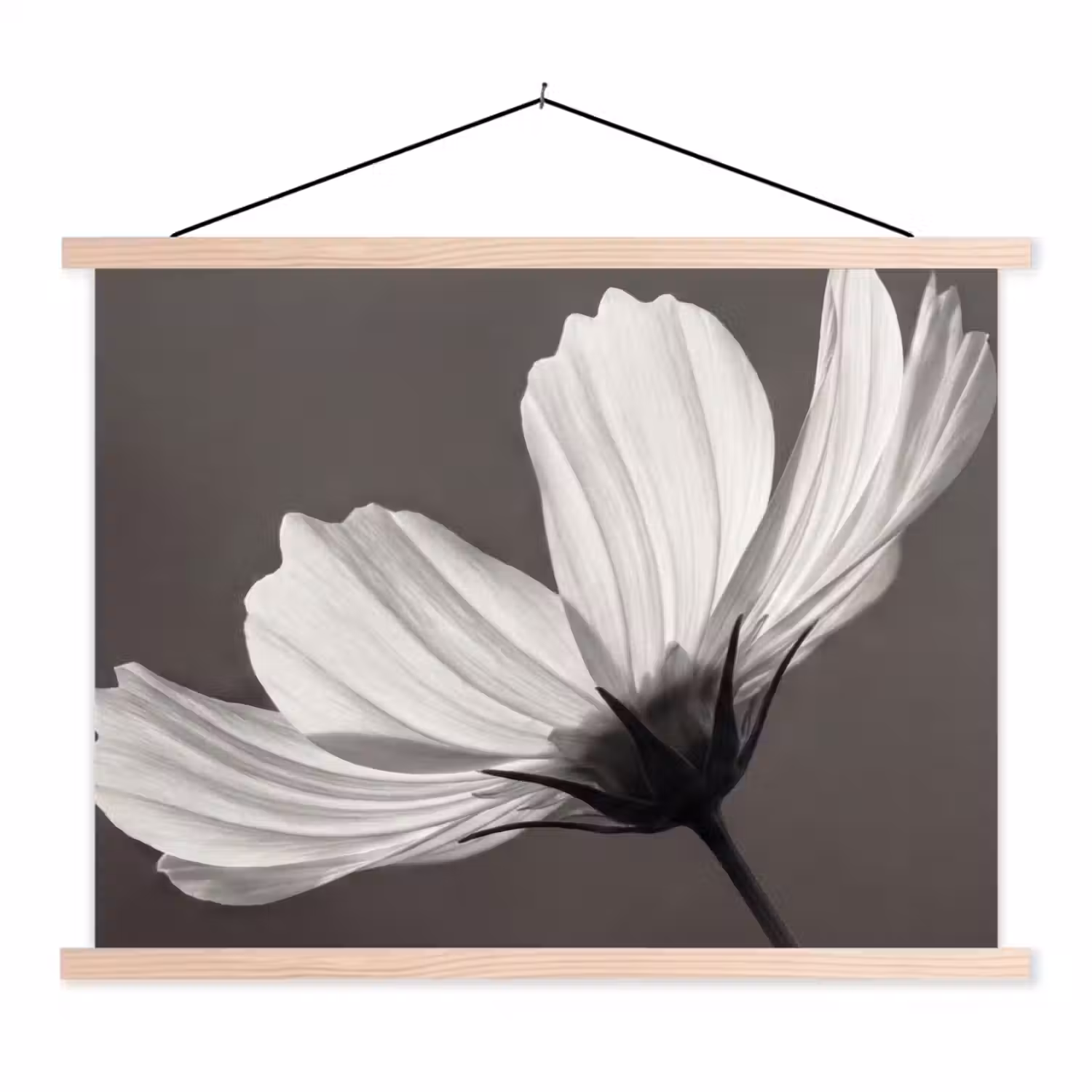 Bloem - Minimalistisch - Zwart - Wit textielposter latten blank klein -3d