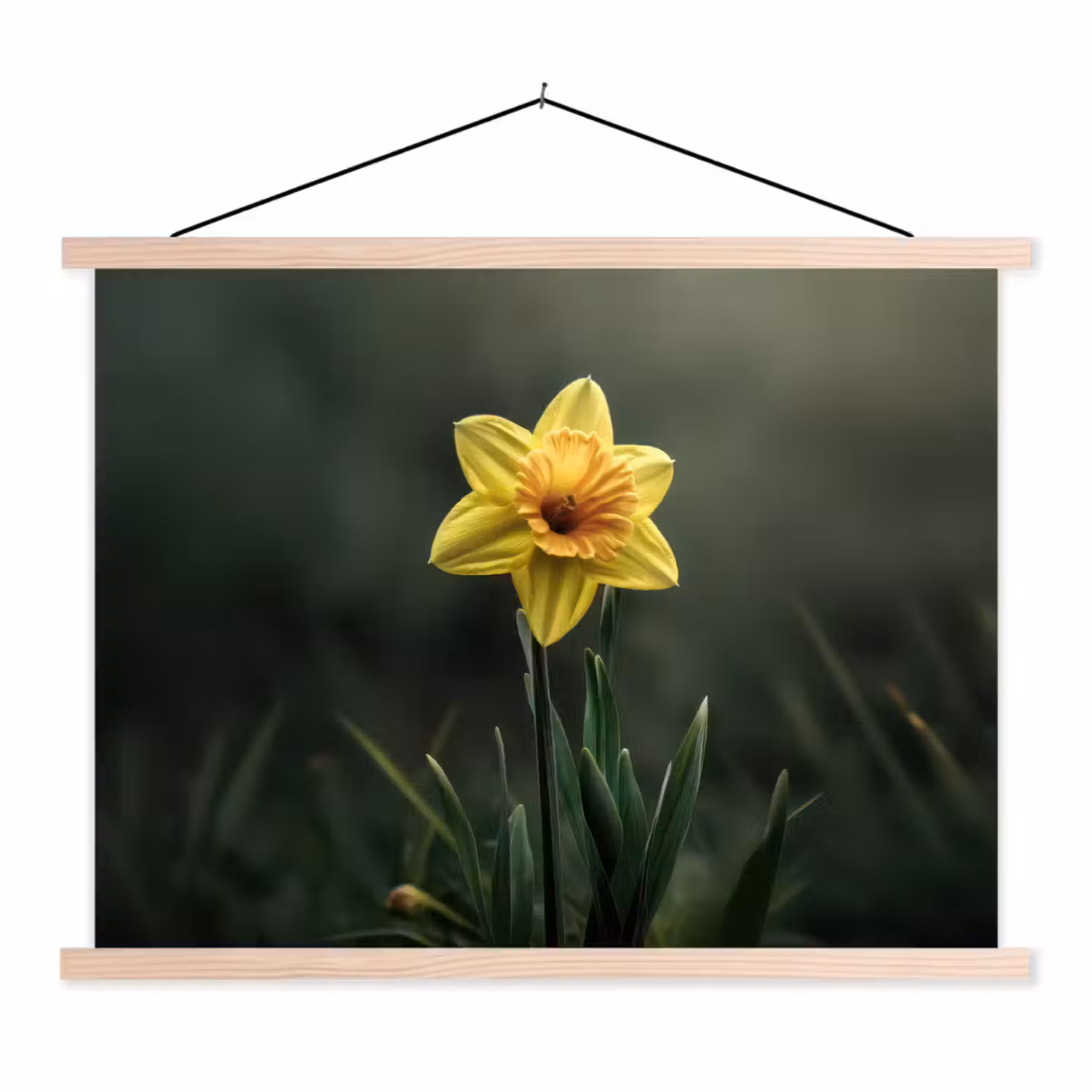 Bloem - Narcis - Gras - Geel textielposter latten blank klein -3d