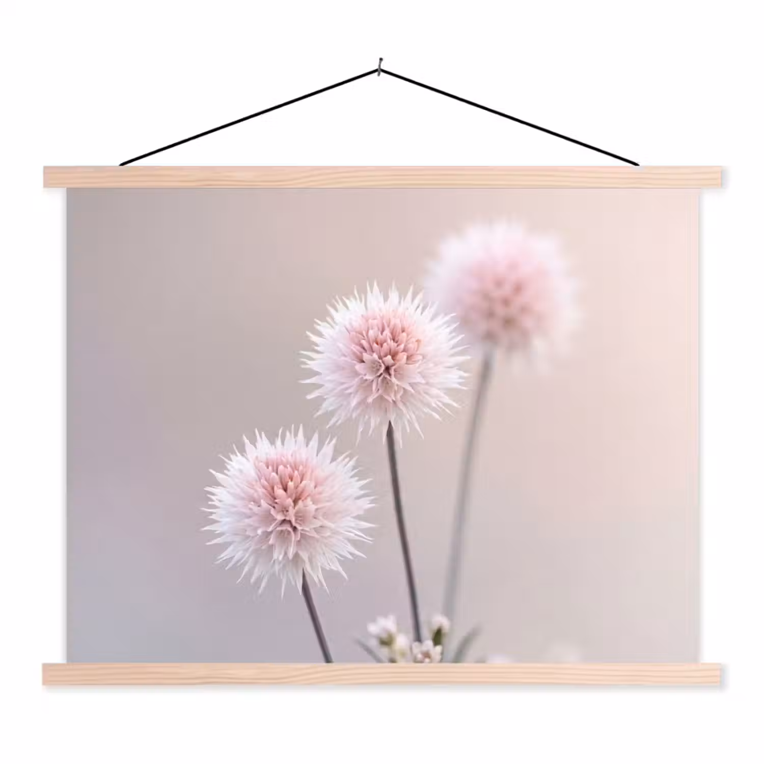 Bloemen - Bollen - Roze textielposter latten blank klein -3d