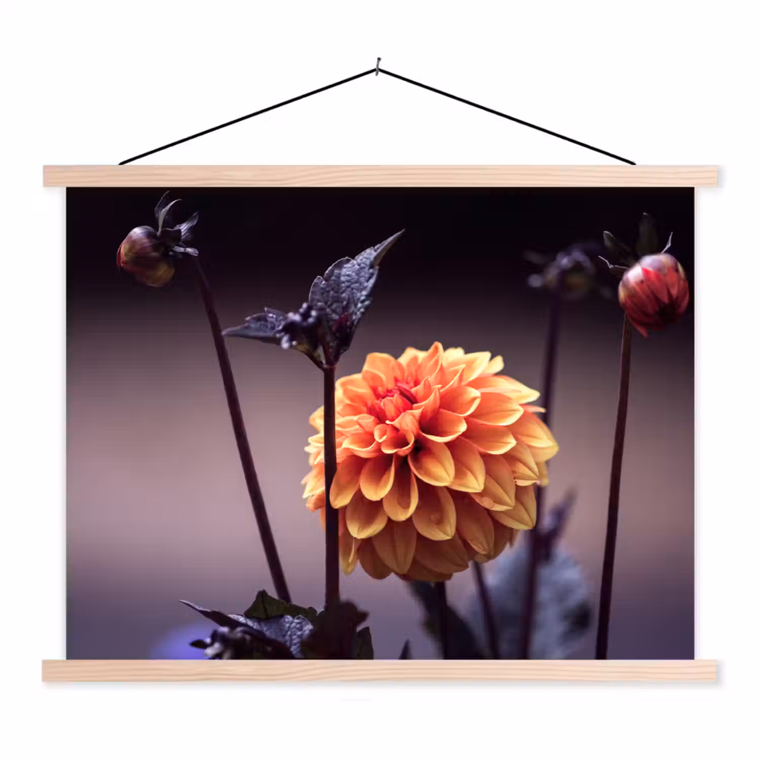 Bloemen - Chrysant - Macro - Planten textielposter latten blank klein -3d