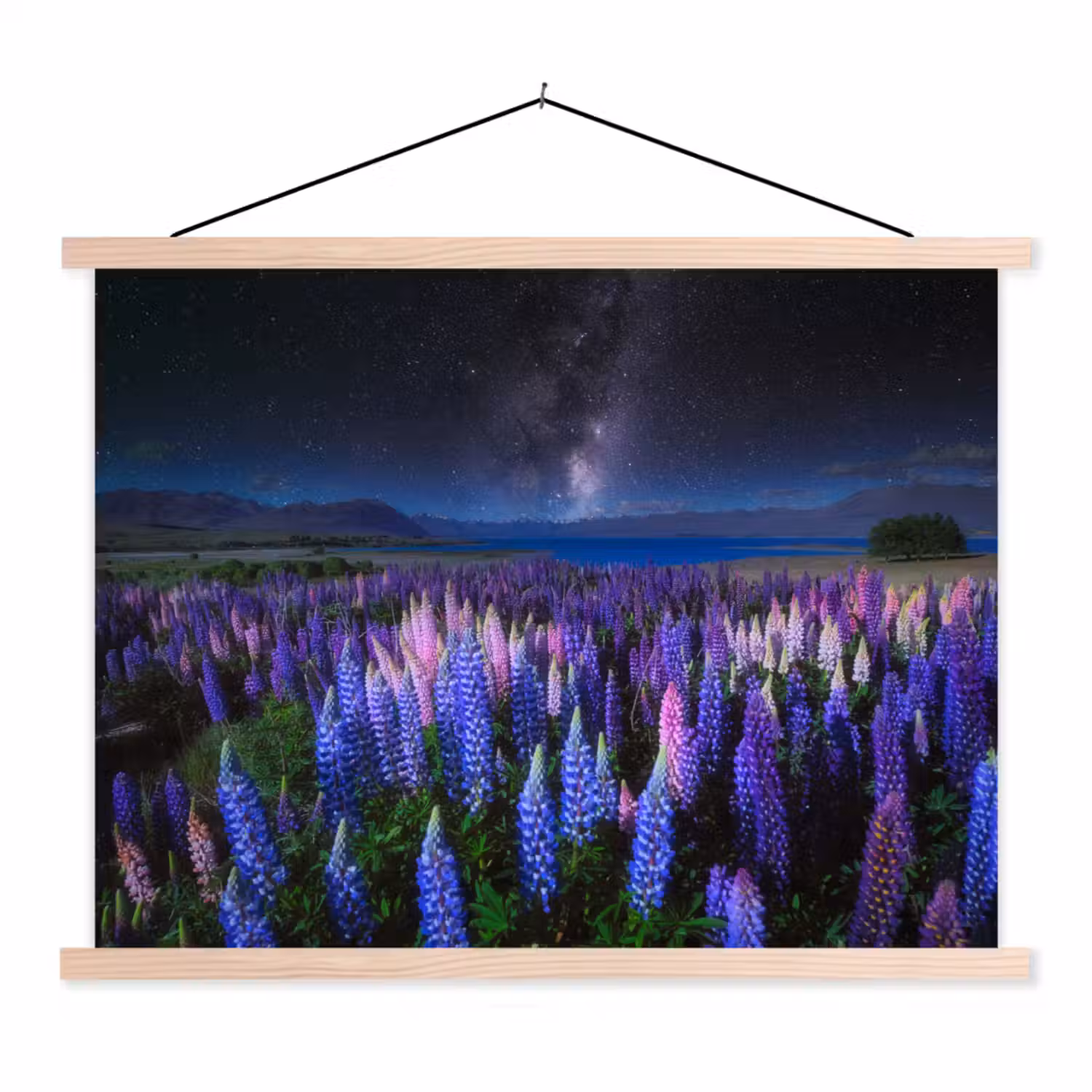 Bloemen - Nacht - Lupine - Sterrenhemel - Paars - Natuur textielposter latten blank klein -3d