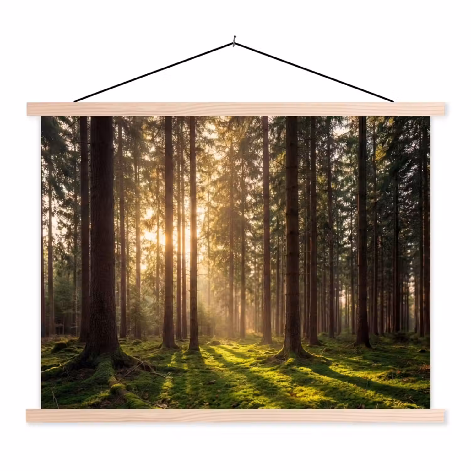 Bos - Gras - Zonlicht textielposter latten blank klein -3d