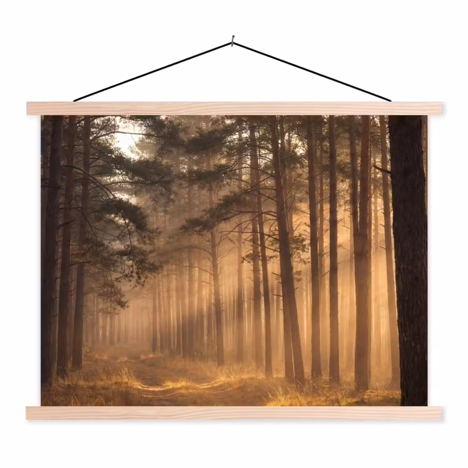 Bos - Mist - Zonlicht textielposter latten blank klein -3d