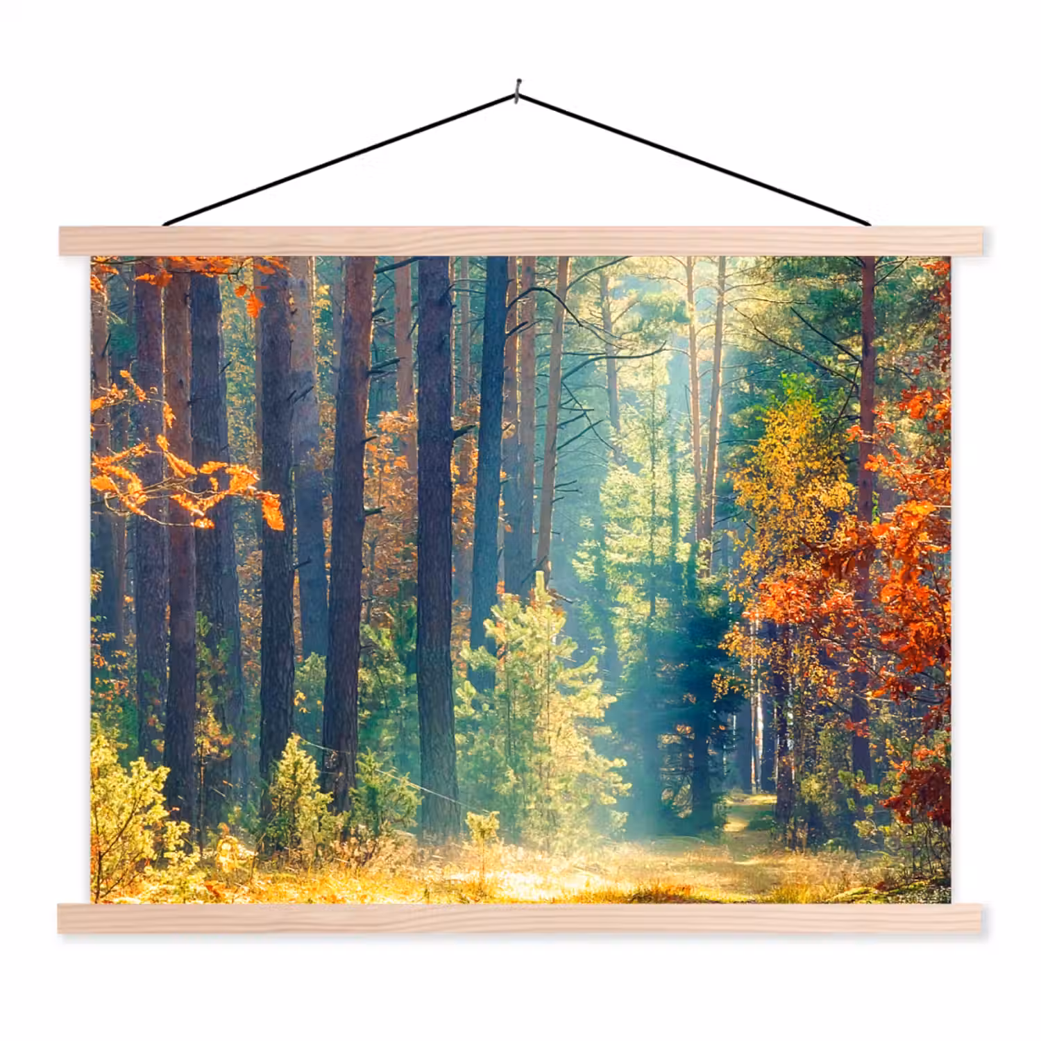 Bos - Zon - Natuur - Herfst textielposter latten blank klein -3d