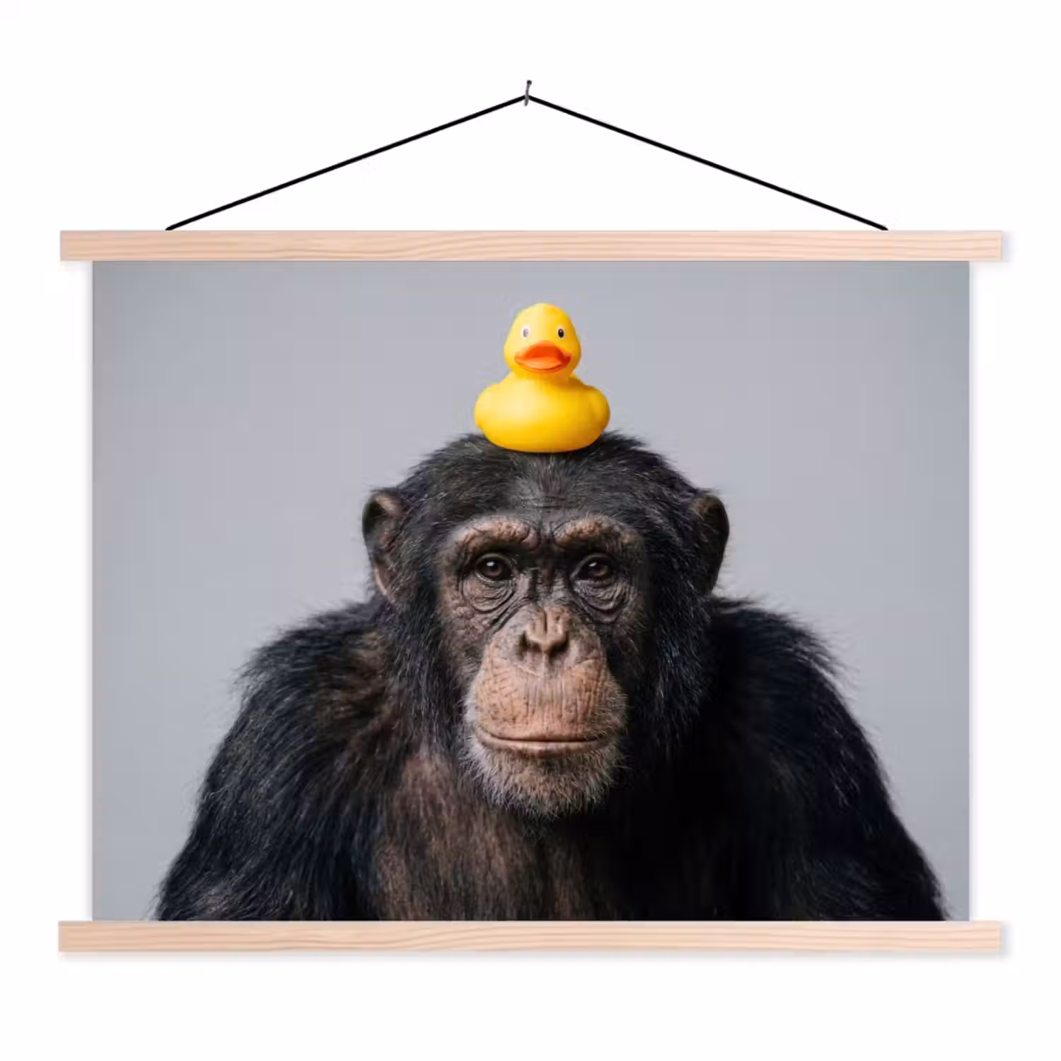 Chimpansee - Badeend - Grijs textielposter latten blank klein -3d