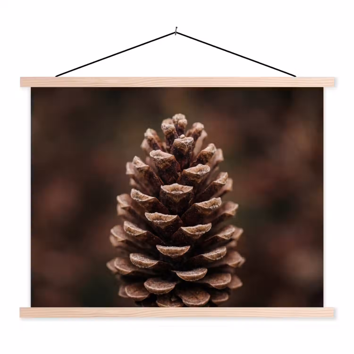 Dennenappel - Bos - Herfst - Bruin - Sfeervol textielposter latten blank klein -3d