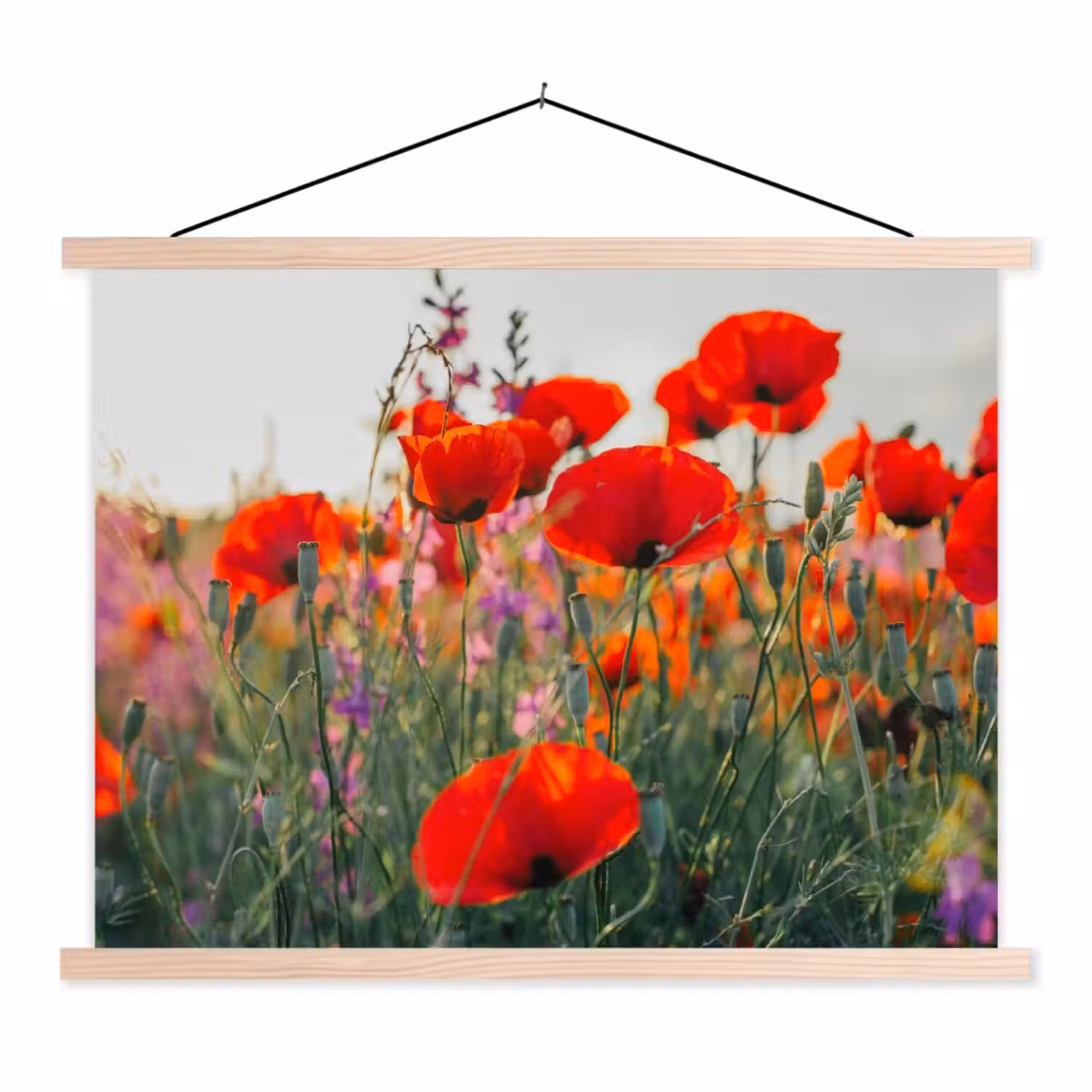 Klaproos - Bloemen - Rood - Paars - Weide textielposter latten blank klein -3d