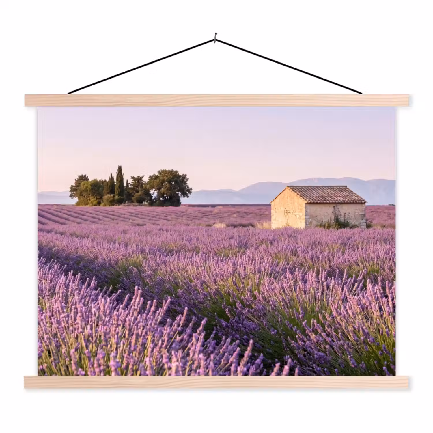 Lavendel - Landschap - Sereen - Paars textielposter latten blank klein -3d