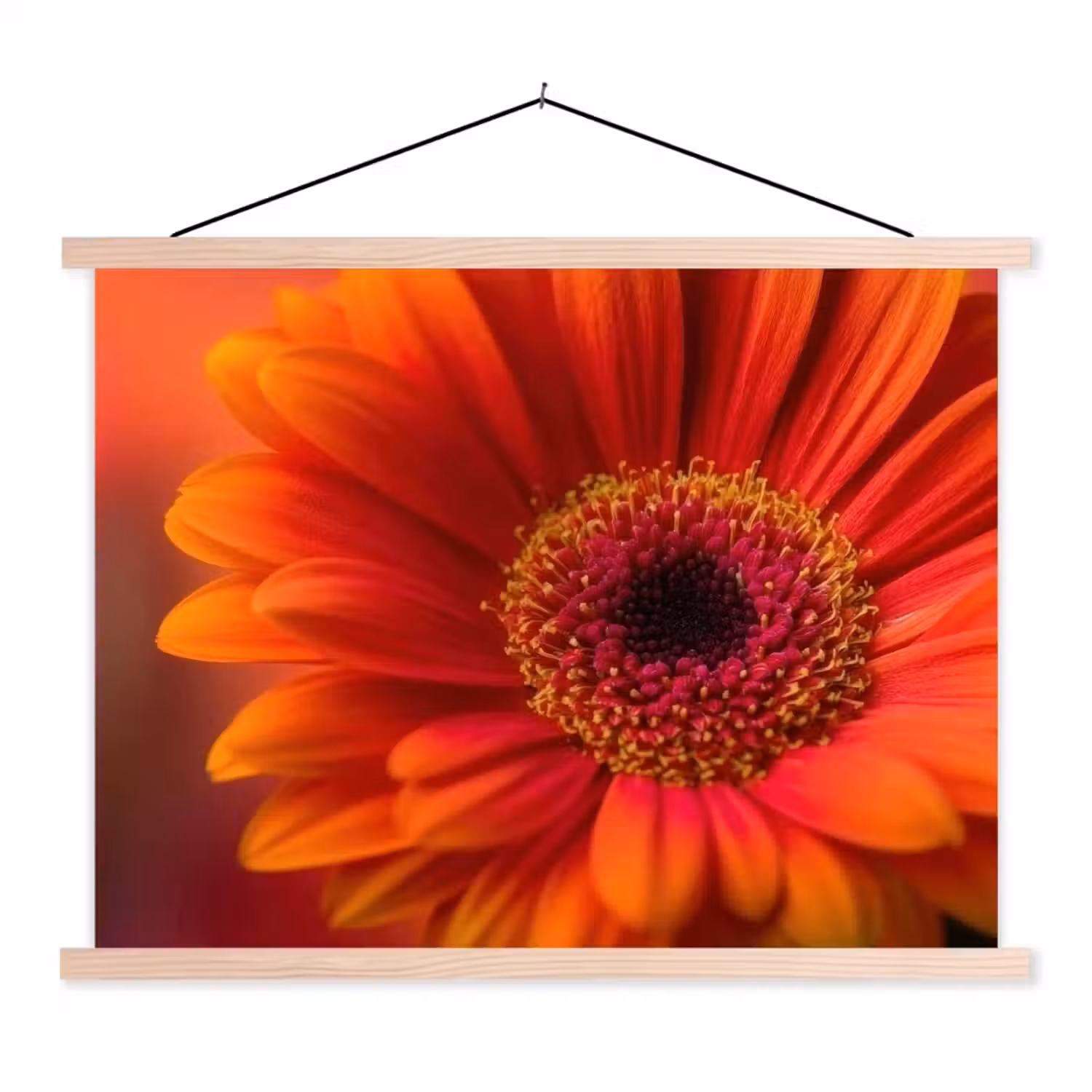 Oranje - Gerbera - Intens textielposter latten blank klein -3d