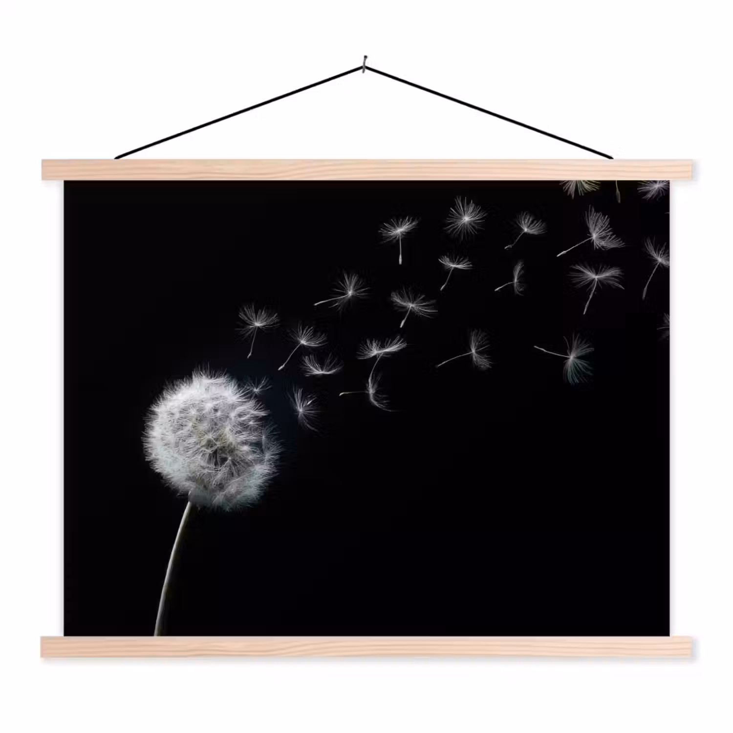 Paardenbloem - Zwart - Natuur textielposter latten blank klein -3d
