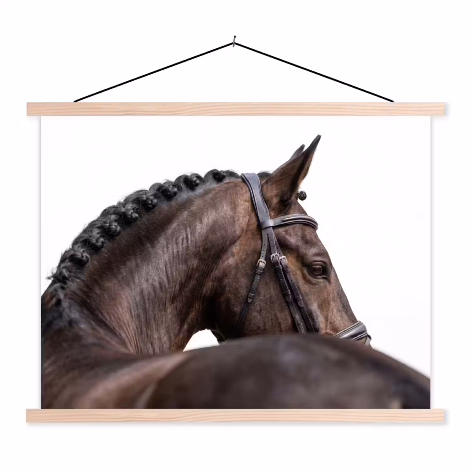 Portret - Paard - Elegant textielposter latten blank klein -3d