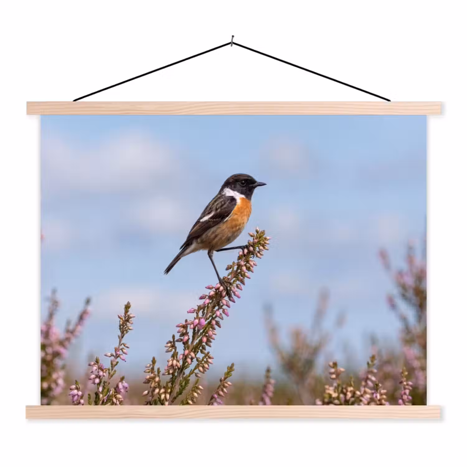 Roodborsttapuit - Heide - Paars - Natuur - Sfeervol textielposter latten blank klein -3d