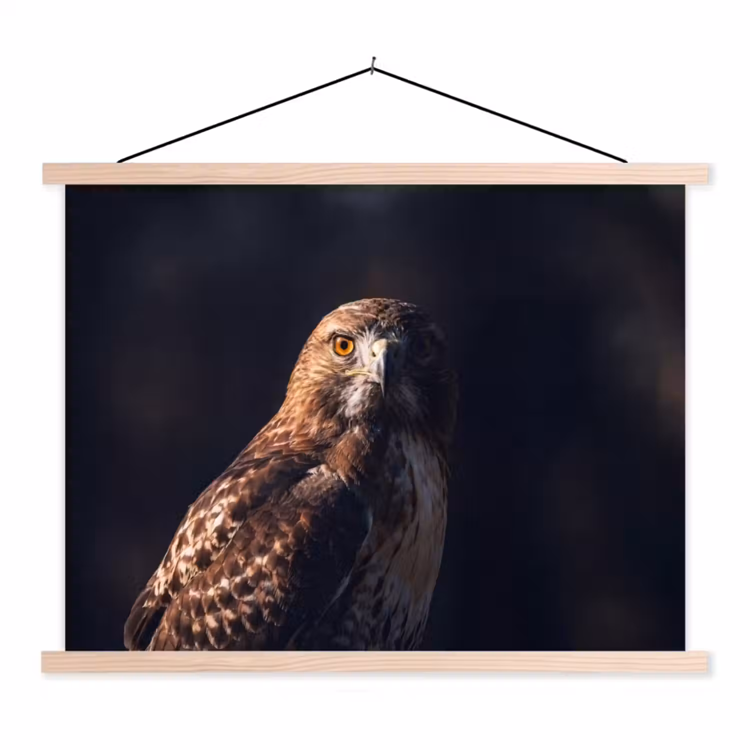 Roofvogel - Buizerd - Bruin textielposter latten blank klein -3d