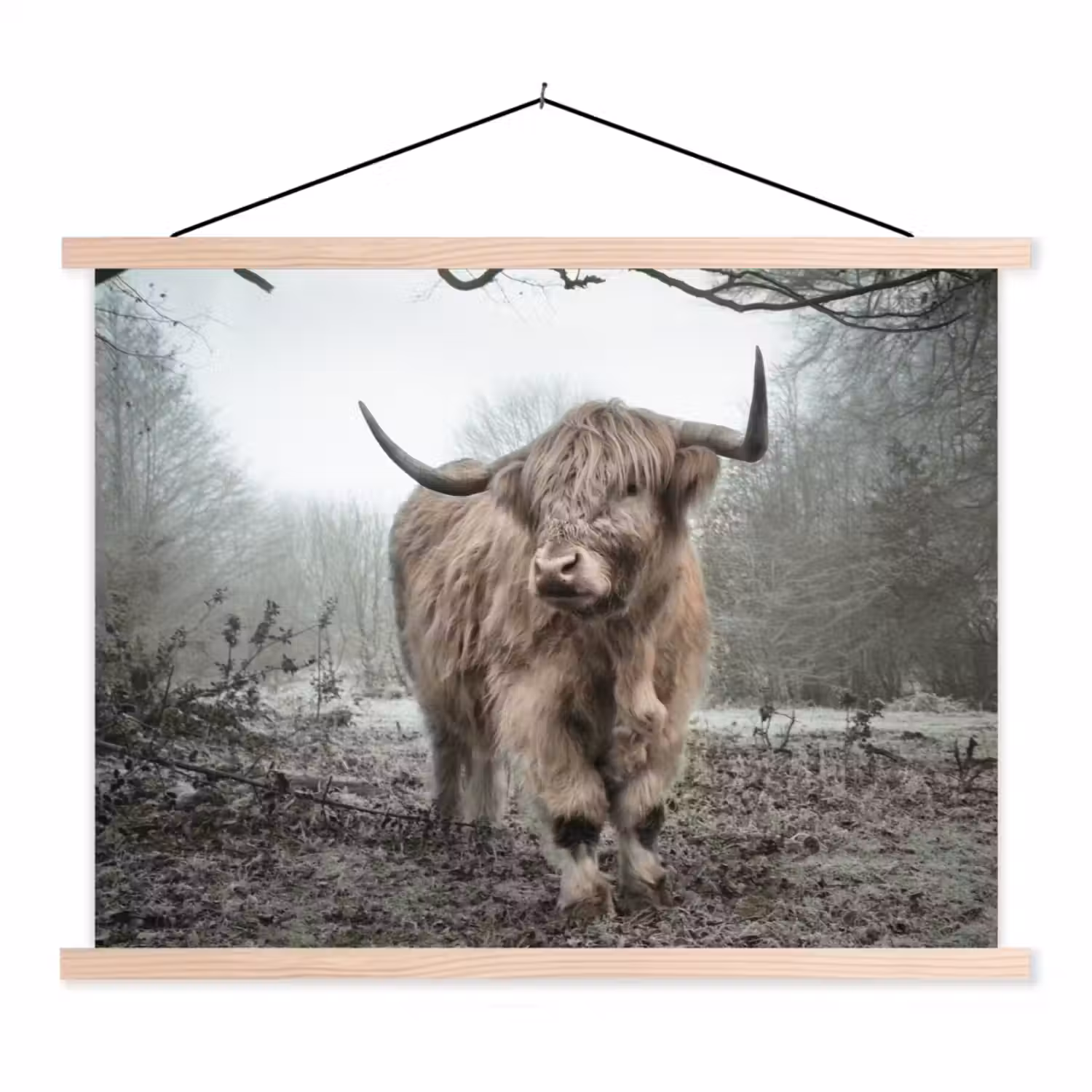 Schotse Hooglander - Bos - Mist - Koe - Dieren - Natuur textielposter latten blank klein -3d