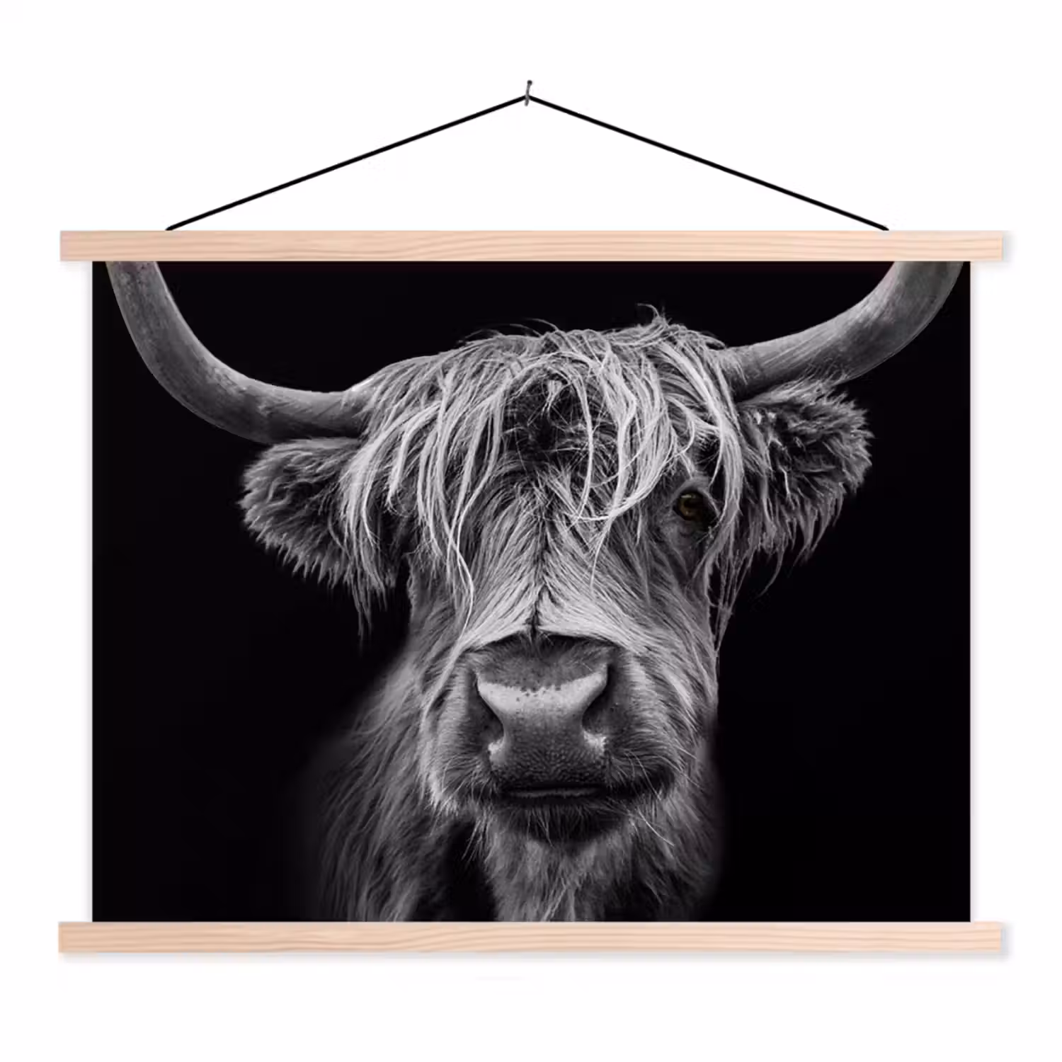 Schotse Hooglander - Horens - Zwart - Wit - Koe - Wild - Dieren textielposter latten blank klein -3d