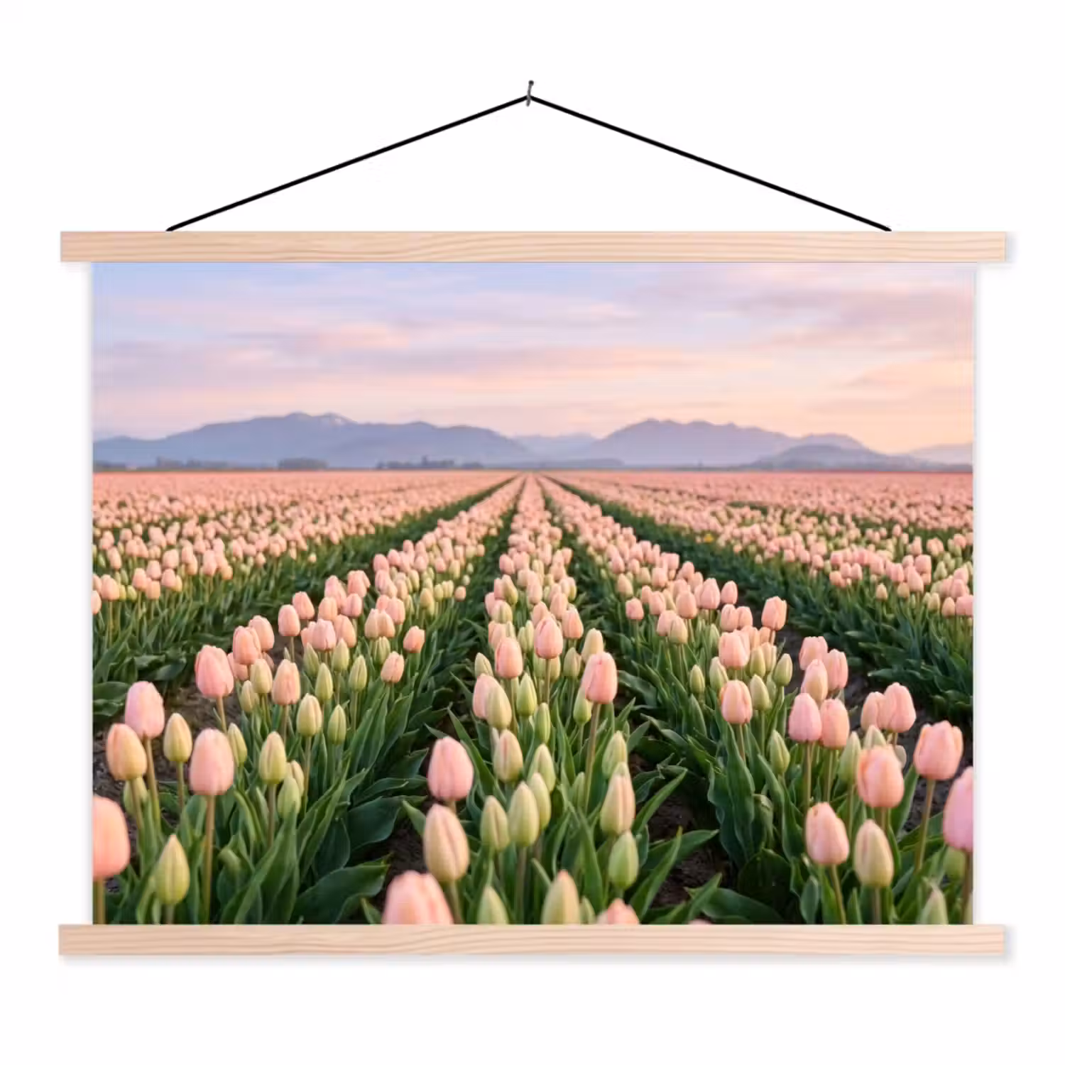 Tulpen - Landschap - Roze textielposter latten blank klein -3d