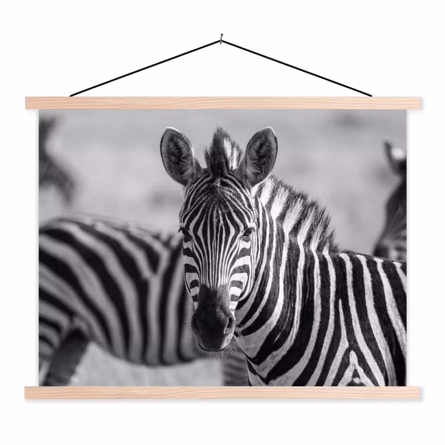 Zebra's - Zwart - Wit textielposter latten blank klein -3d