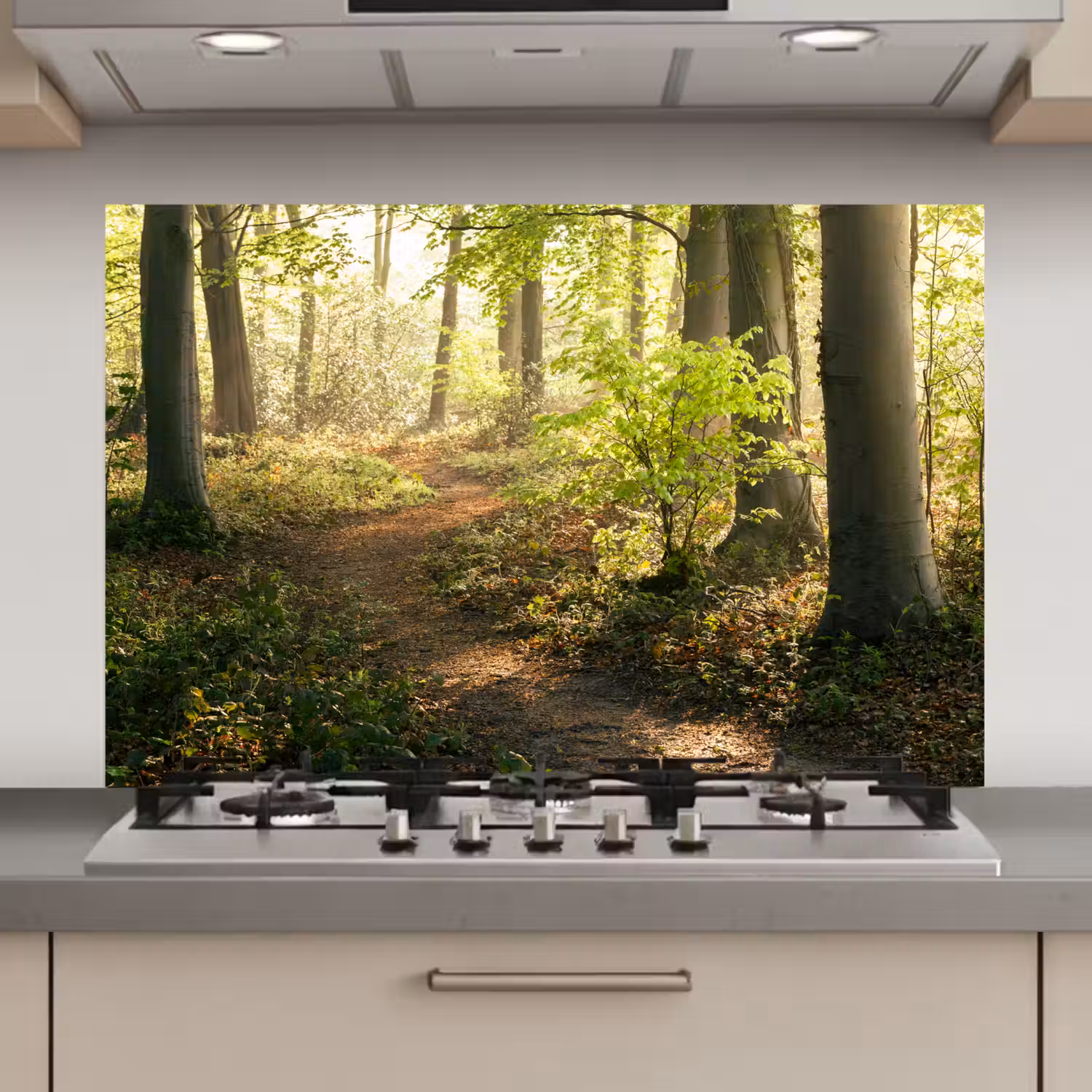 Bos - Bomen - Pad - Zon - Planten - Bladeren - Natuur keuken achterwand spatscherm klein -3d_website