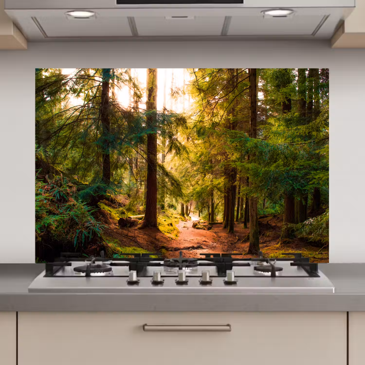 Bos - Pad - Bomen - Groen - Zon - Natuur keuken achterwand spatscherm klein -3d_website