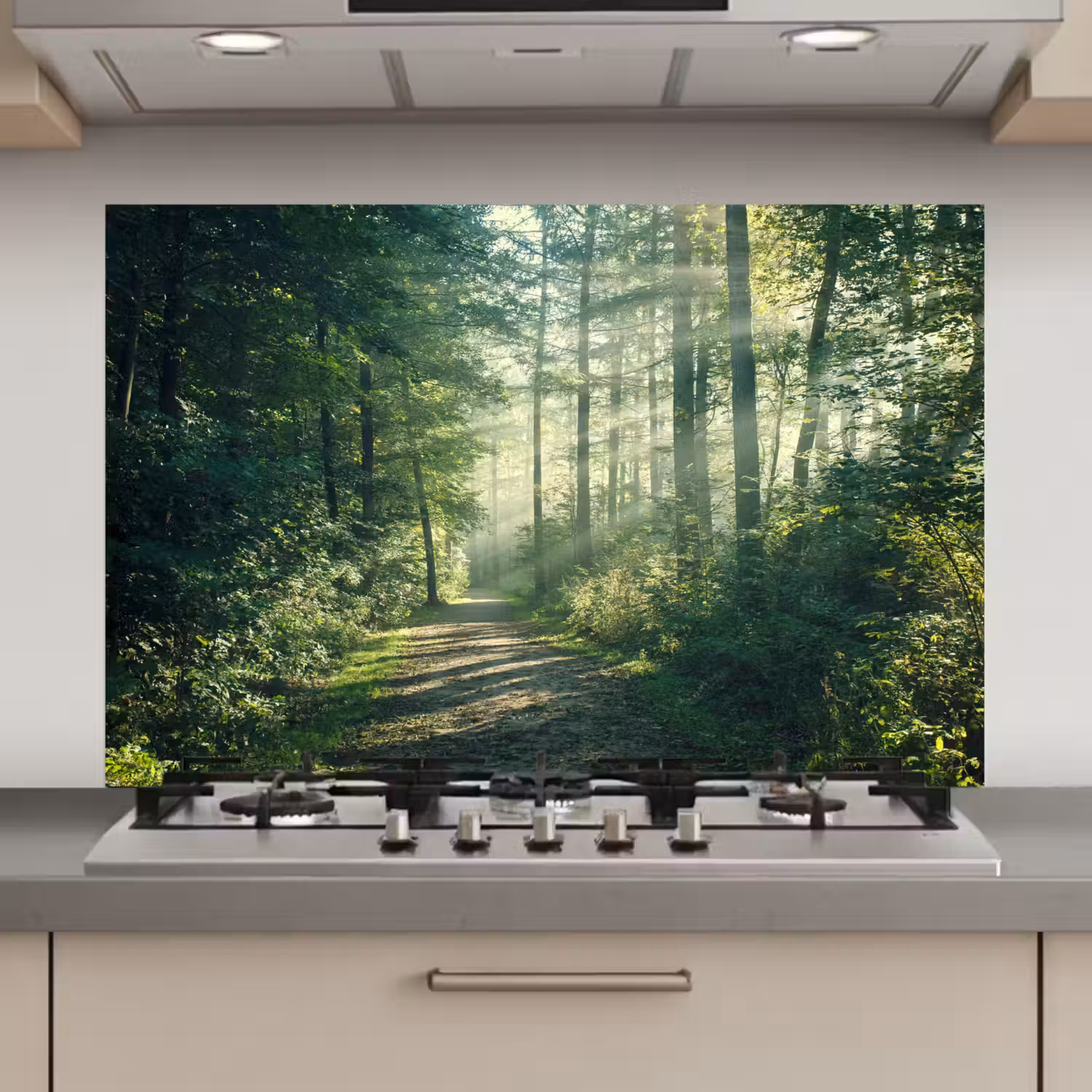 Bos - Pad - Zon - Bomen - Groen - Natuur keuken achterwand spatscherm klein -3d_website