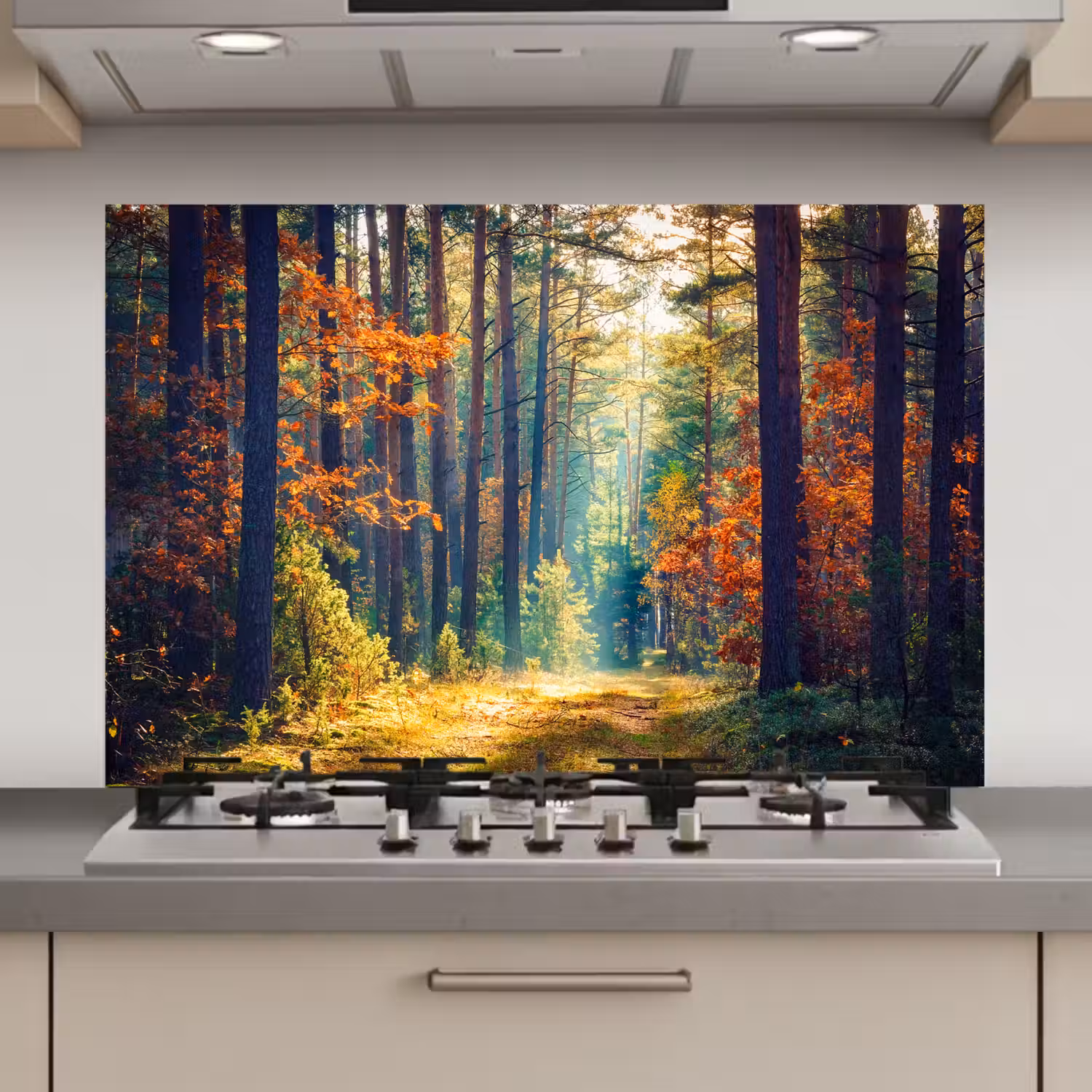 Bos - Zon - Natuur - Herfst keuken achterwand spatscherm klein -3d_website