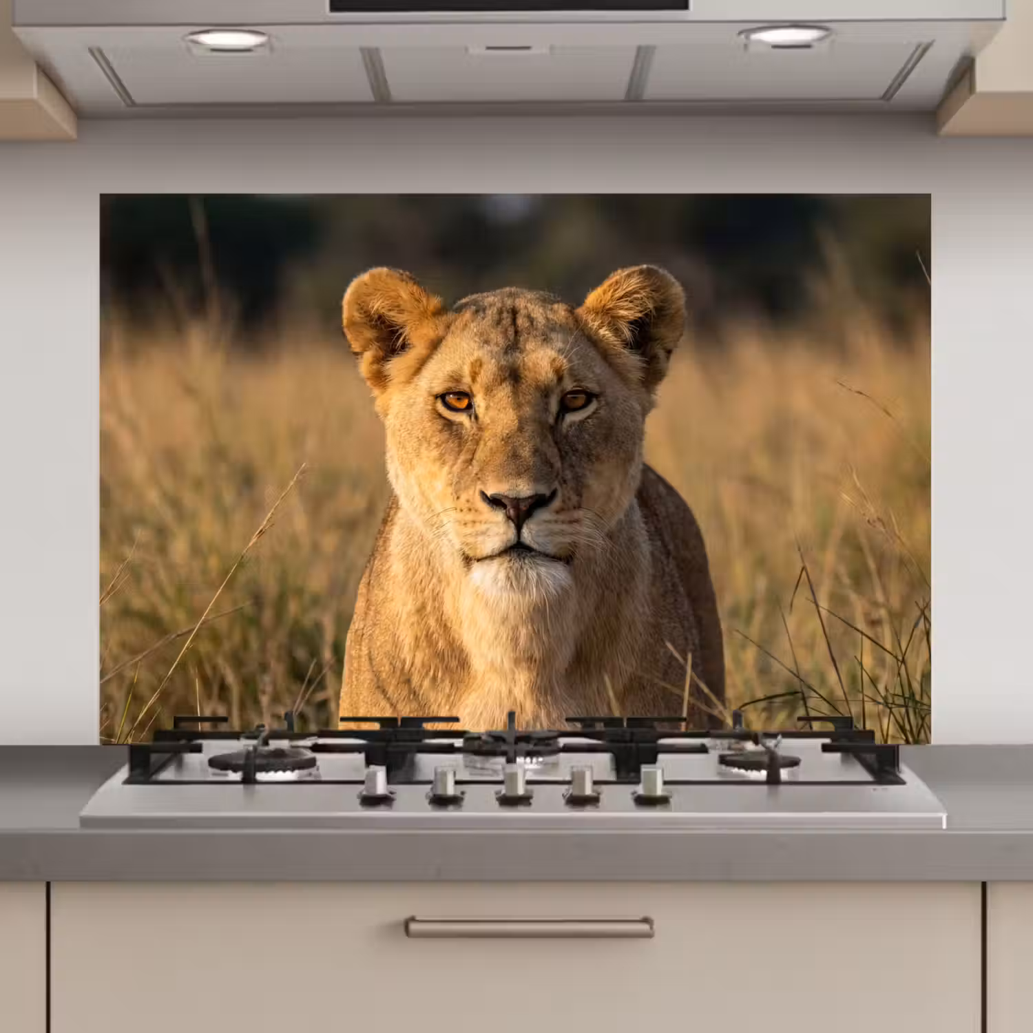 Leeuwin - Gras - Geel keuken achterwand spatscherm klein -3d_website