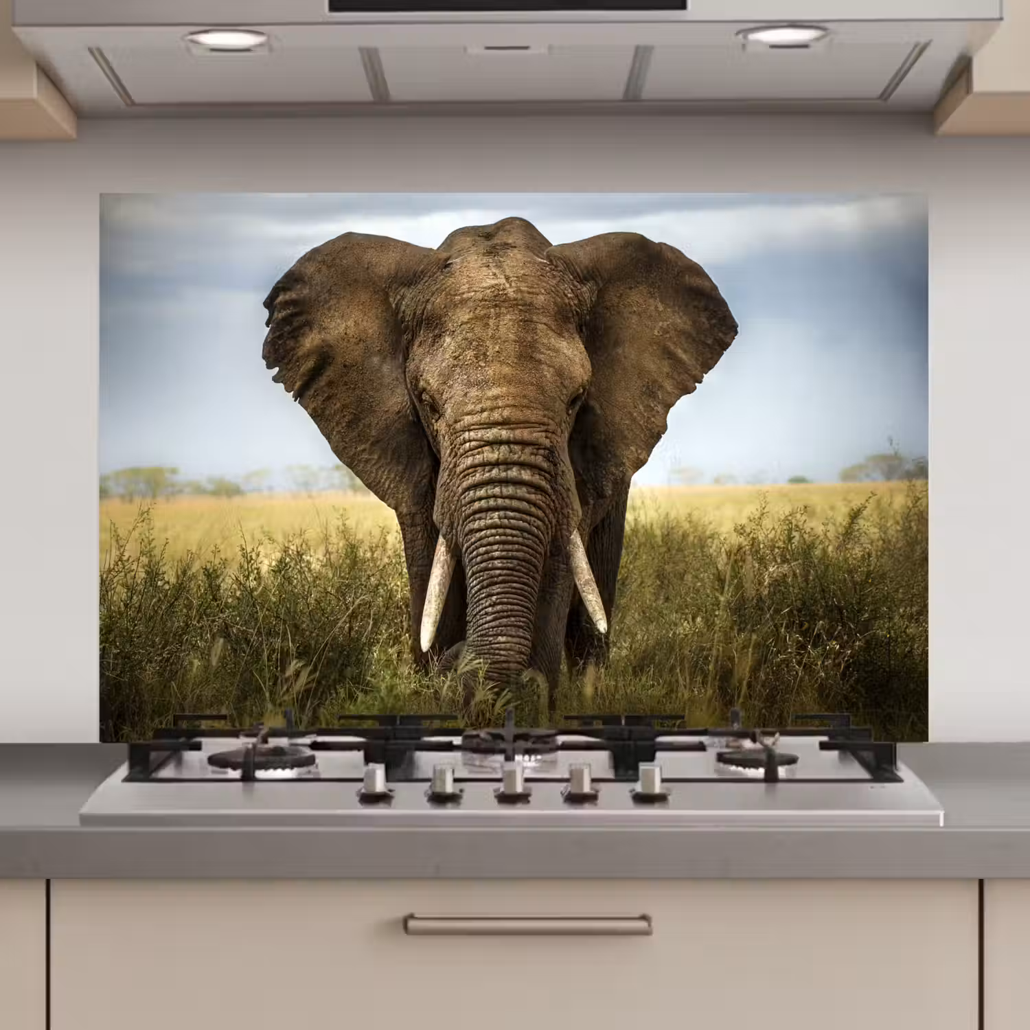 Olifant - Natuur - Gras - Dieren - Landschap keuken achterwand spatscherm klein -3d_website