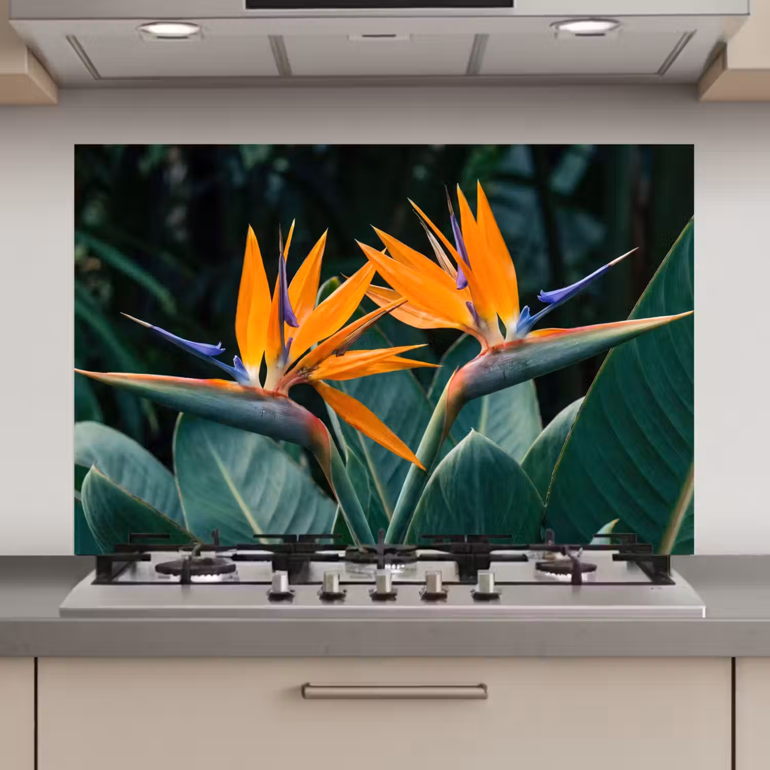 Paradijsvogel - Bloem - Exotisch keuken achterwand spatscherm klein -3d_website