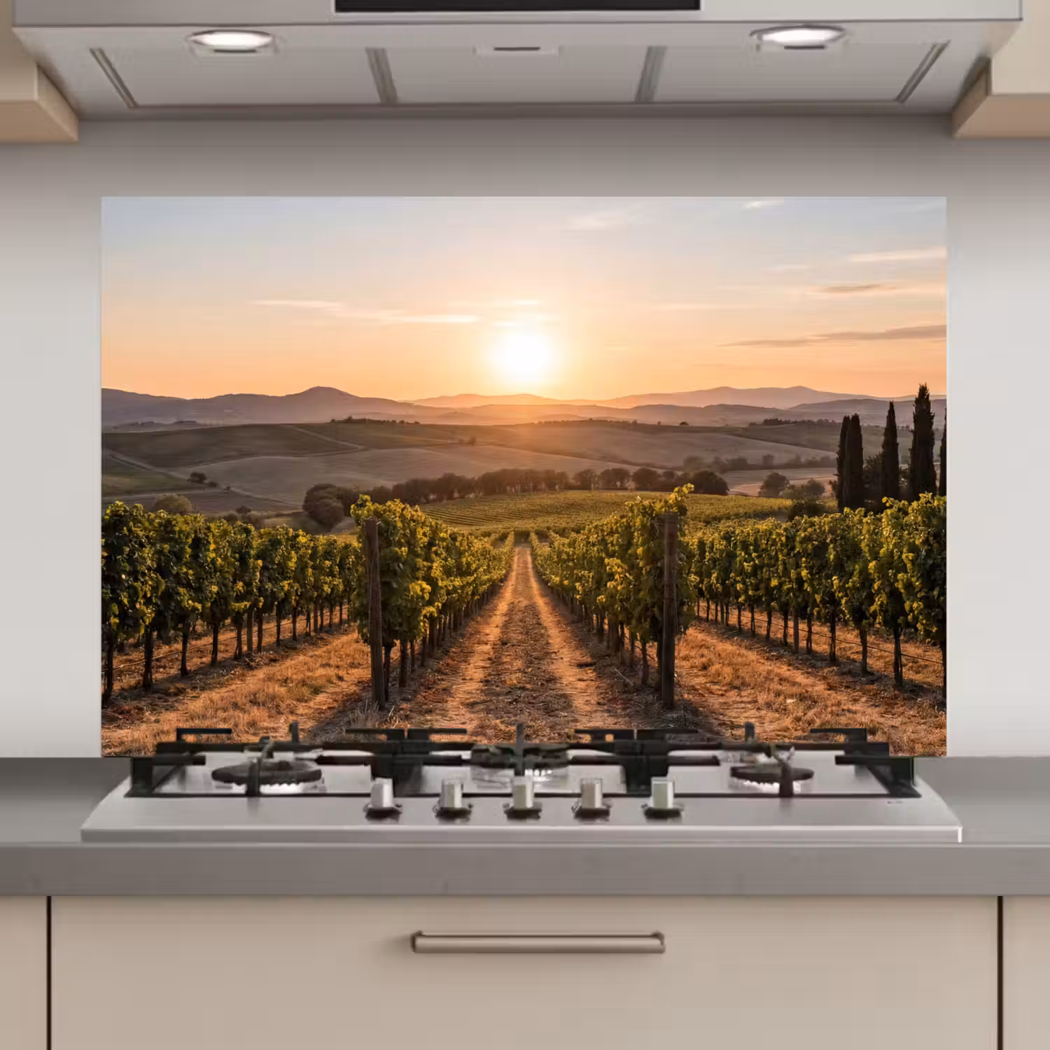 Wijngaard - Zonsondergang - Landschap keuken achterwand spatscherm klein -3d_website
