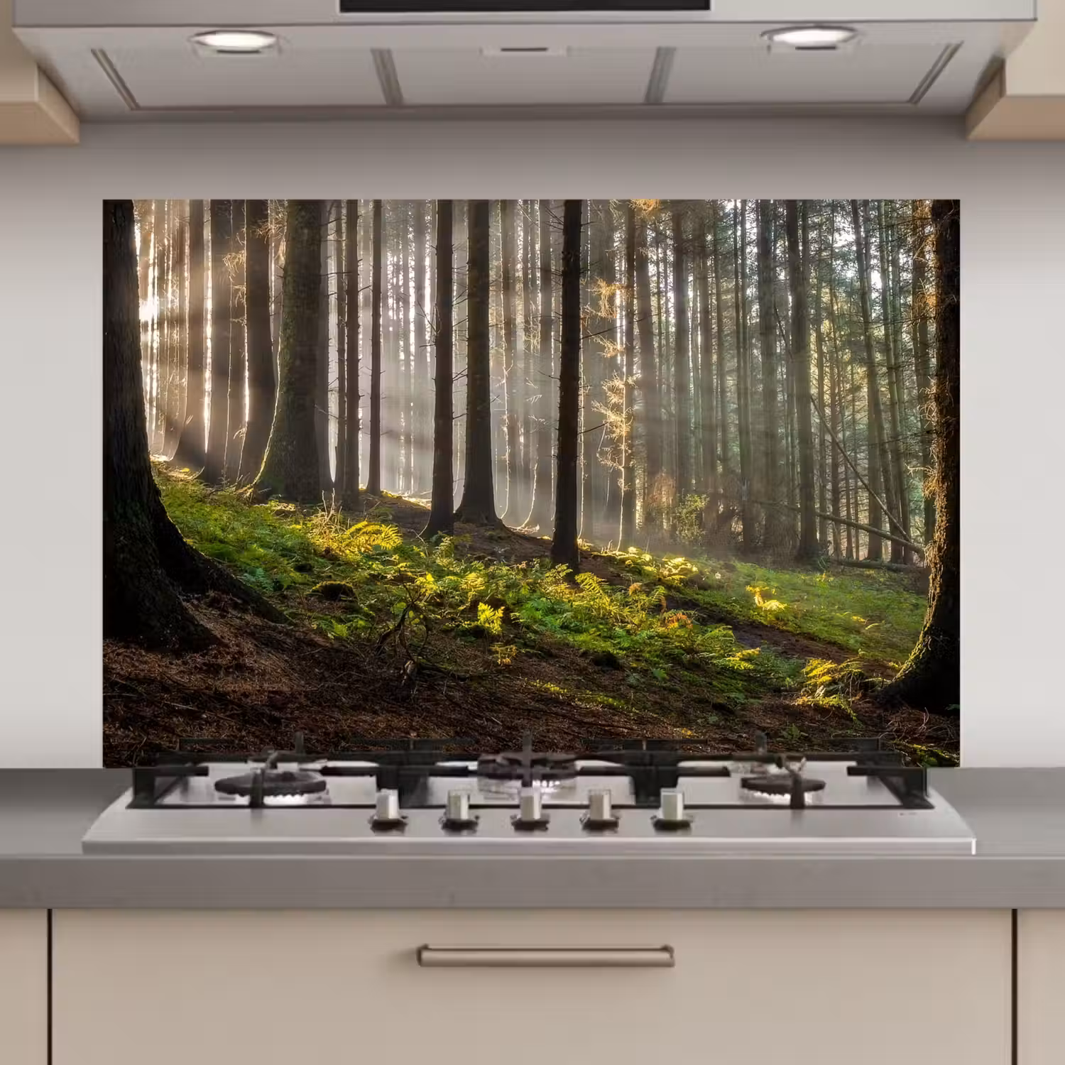 Zon - Takken - Bomen - Bos - Natuur keuken achterwand spatscherm klein -3d_website
