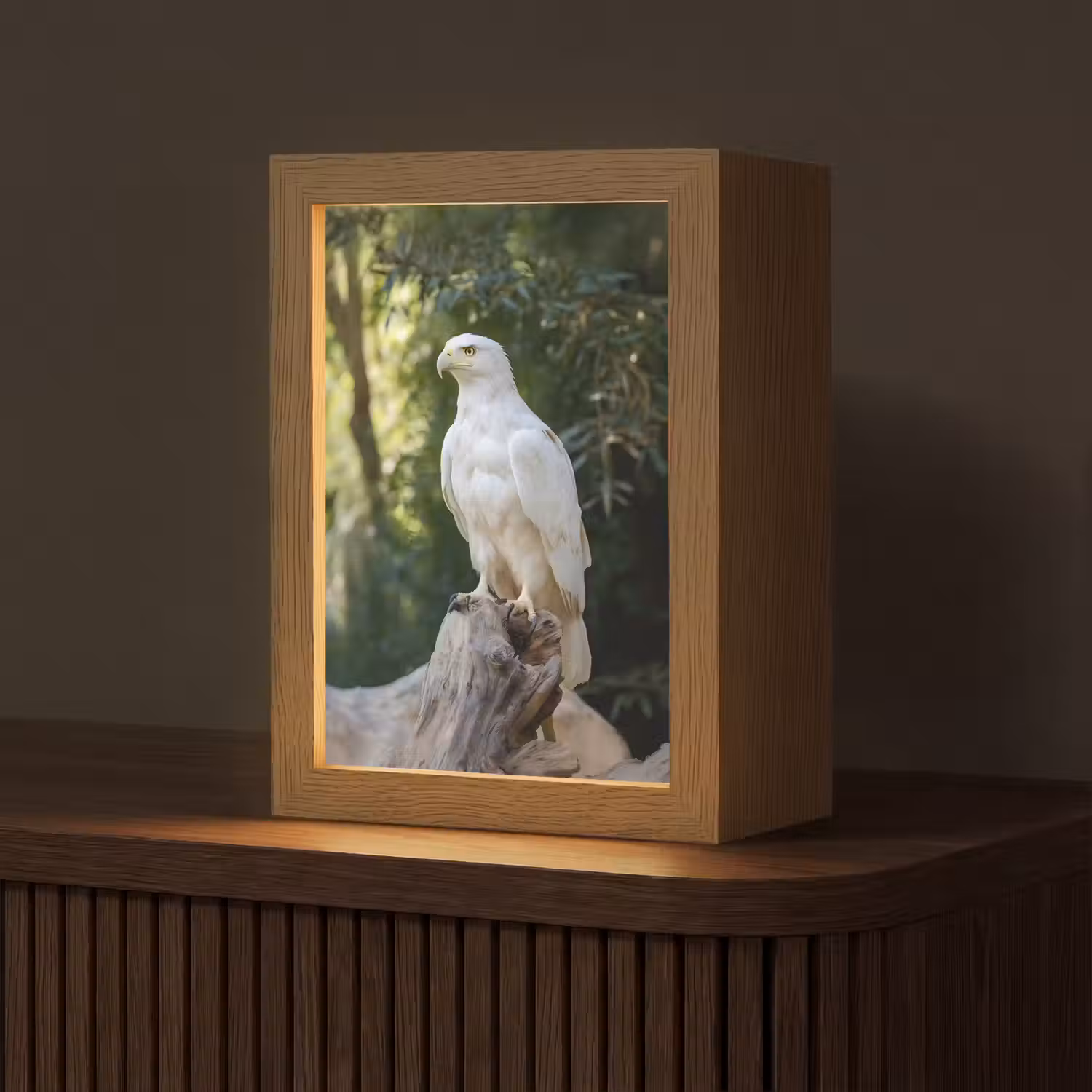 Arend - Hout - Wit - Planten Light Box met kabel (Tafellamp) klein -z3d_website